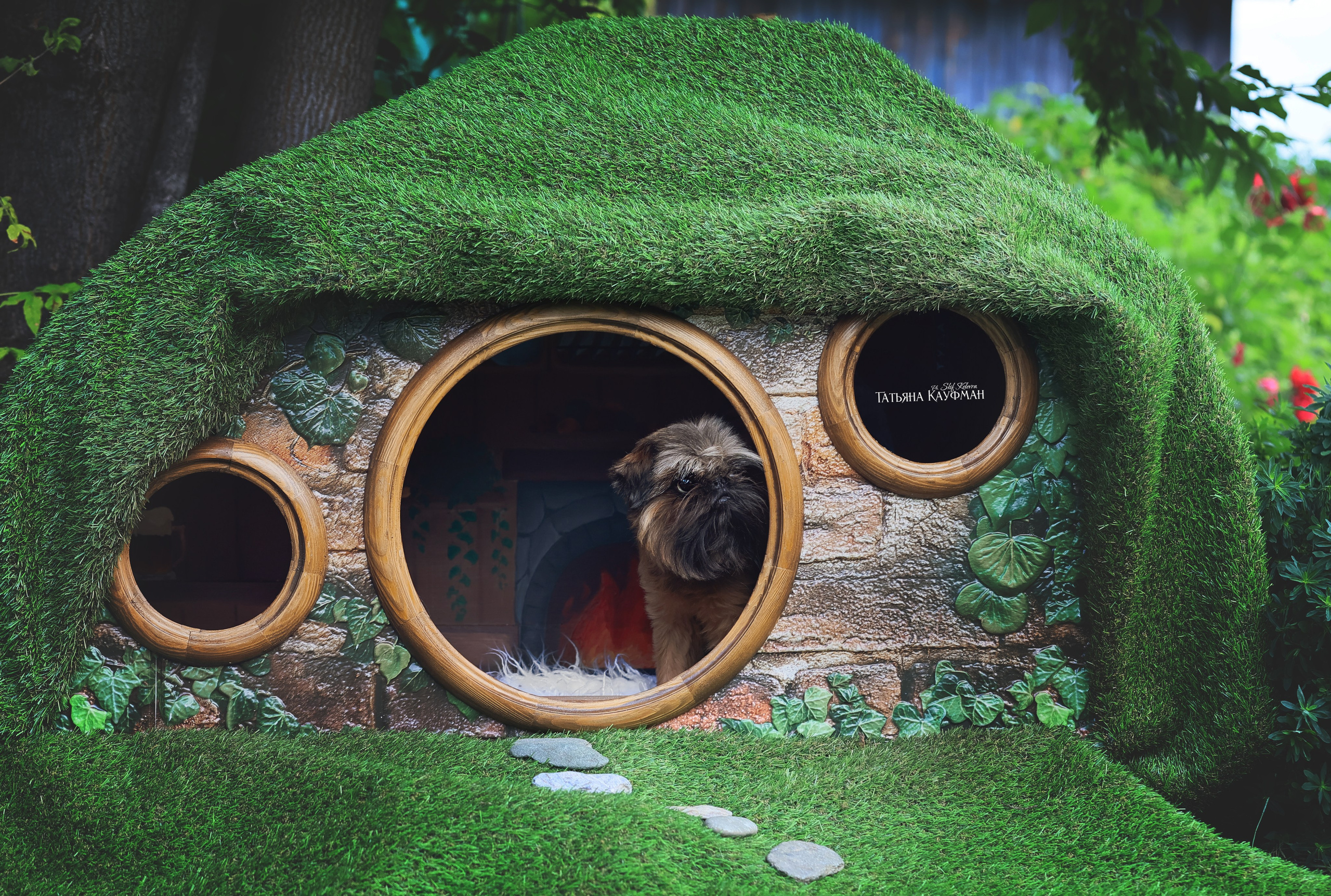 Домик для хоббитов, фотозона, властелин колец, шир, хоббиты, гномы, брюссельский гриффон, малый брабансон, фотосессия, ручная работа, фотограф анималист, фотограф Новосибирск