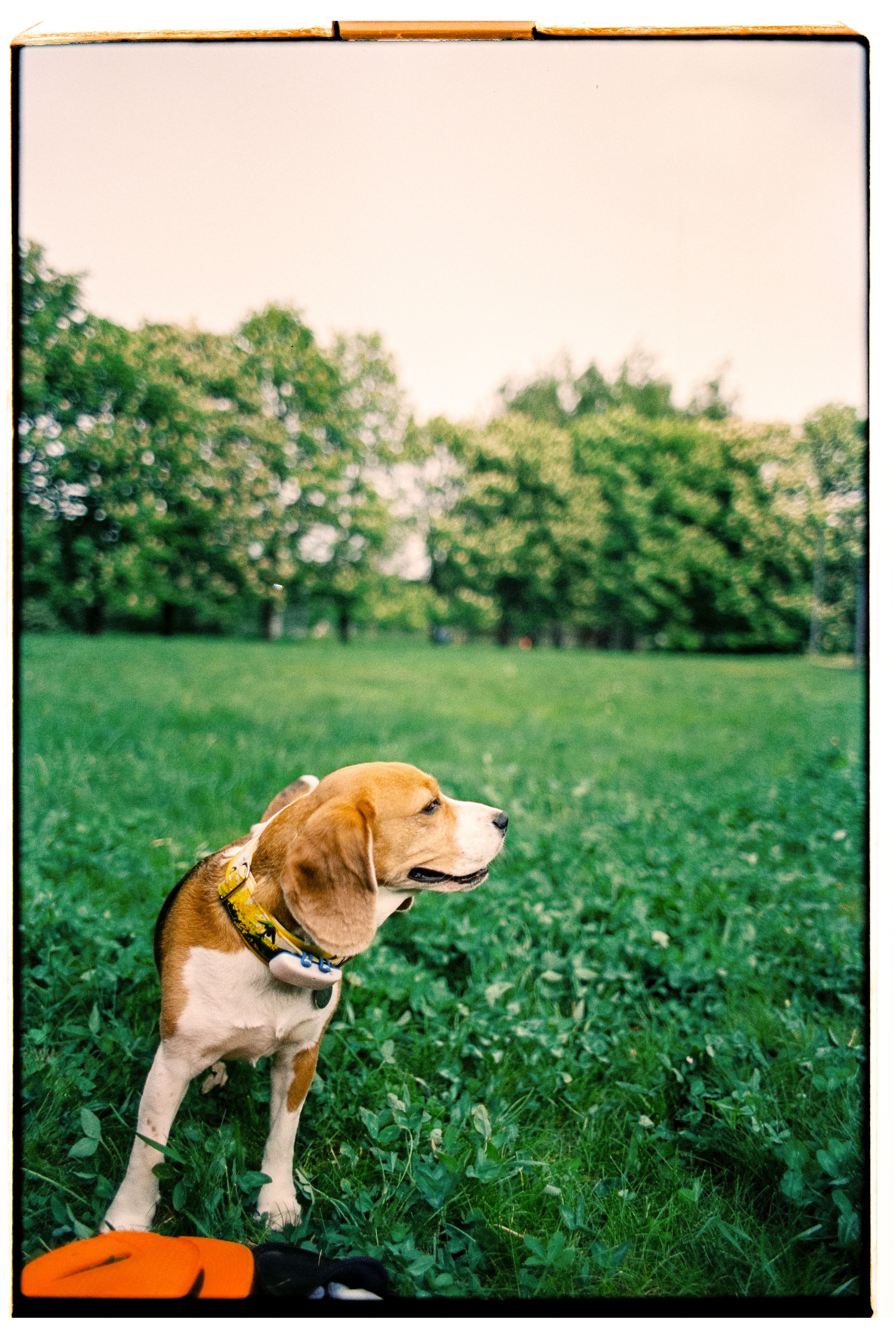 Great time with my family. Никита Демидов. Nikita Demidov