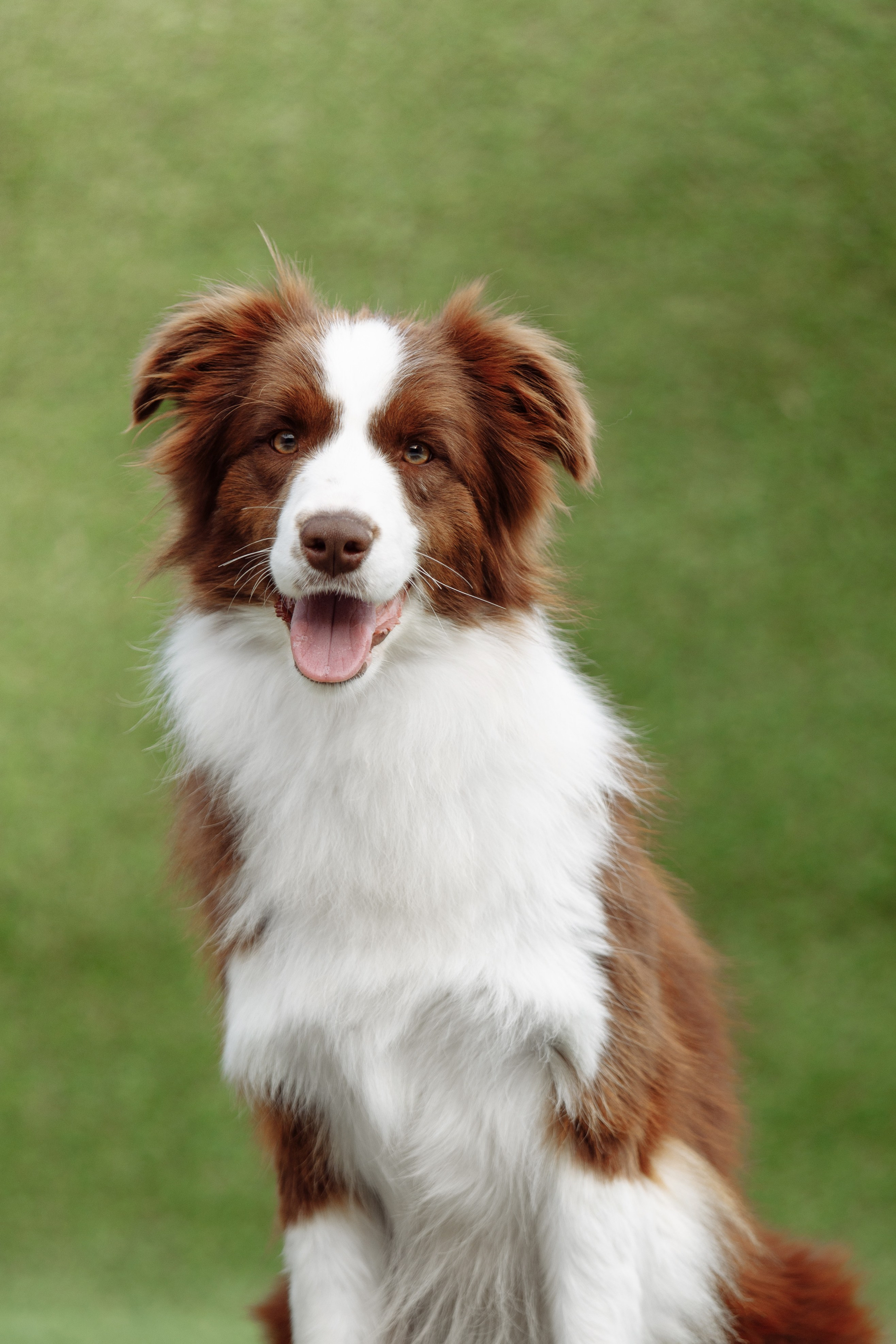 Свое место. О нас