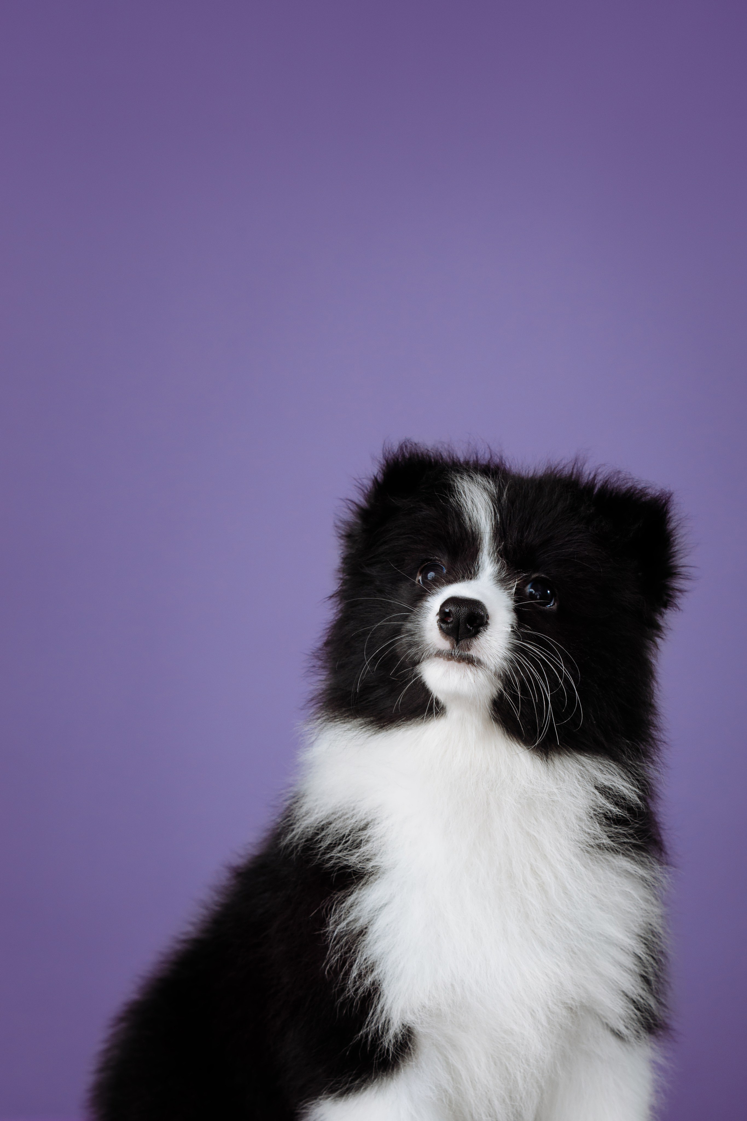 Март. Весна. 22. О нас