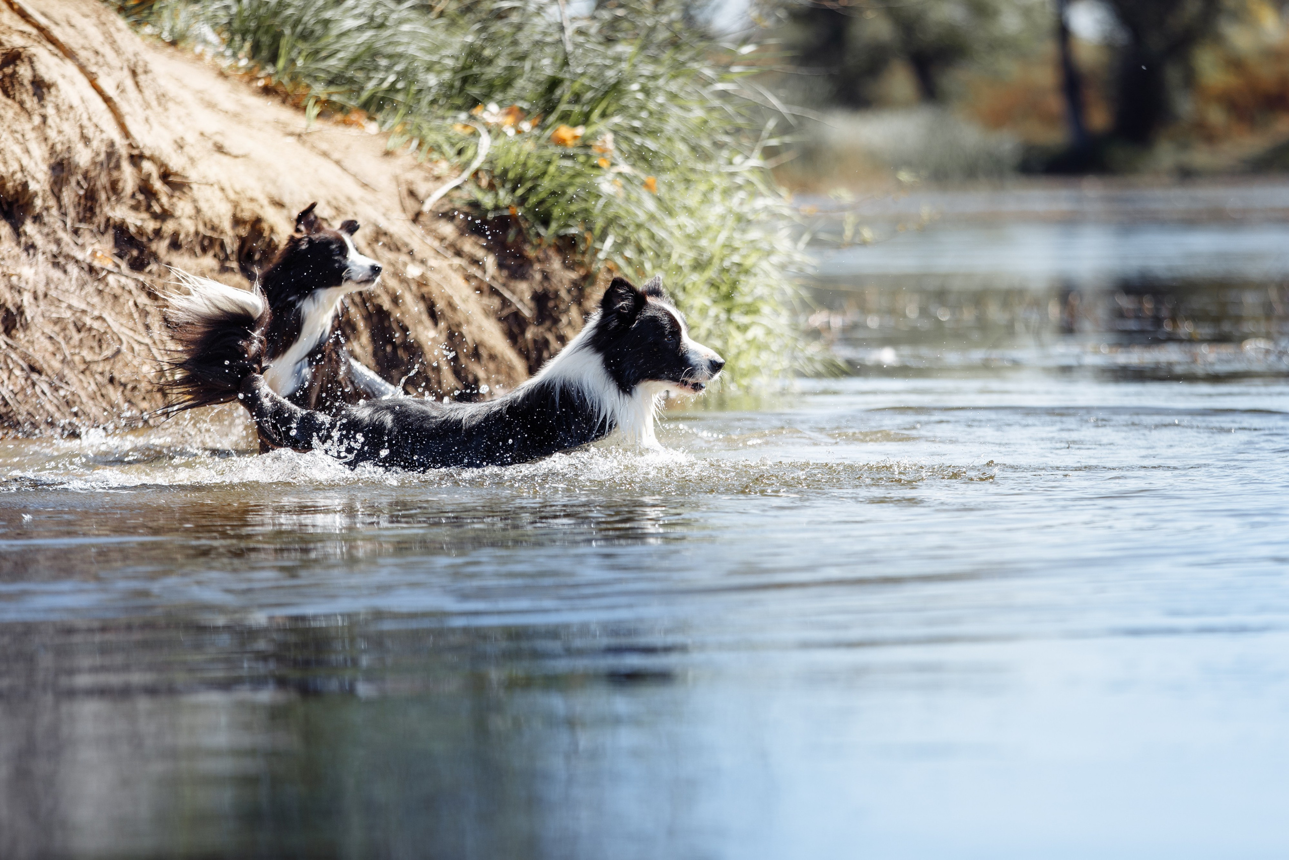 Водяные в Новотроицке. О нас
