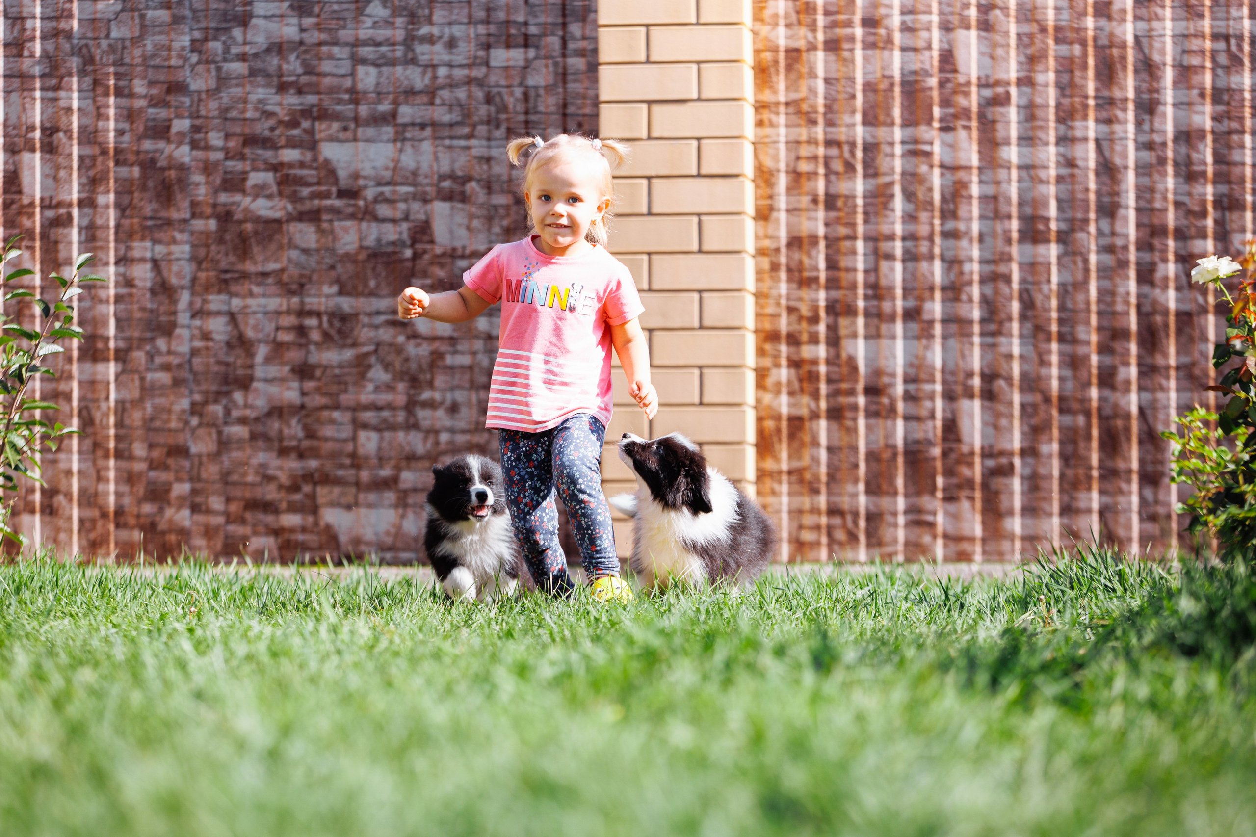 МММ — маленькое мягкое милое. О нас