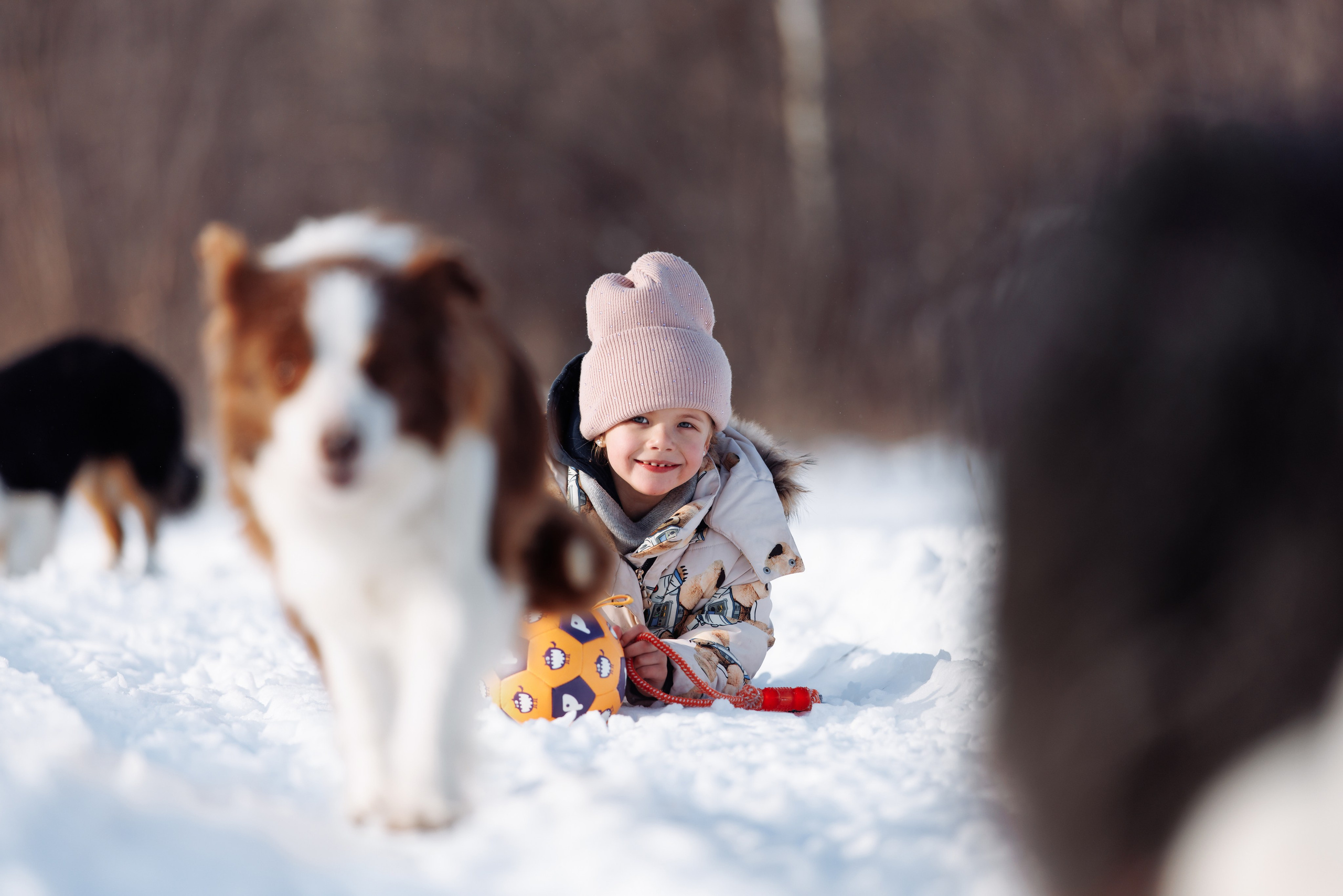 Яркий январь. О нас