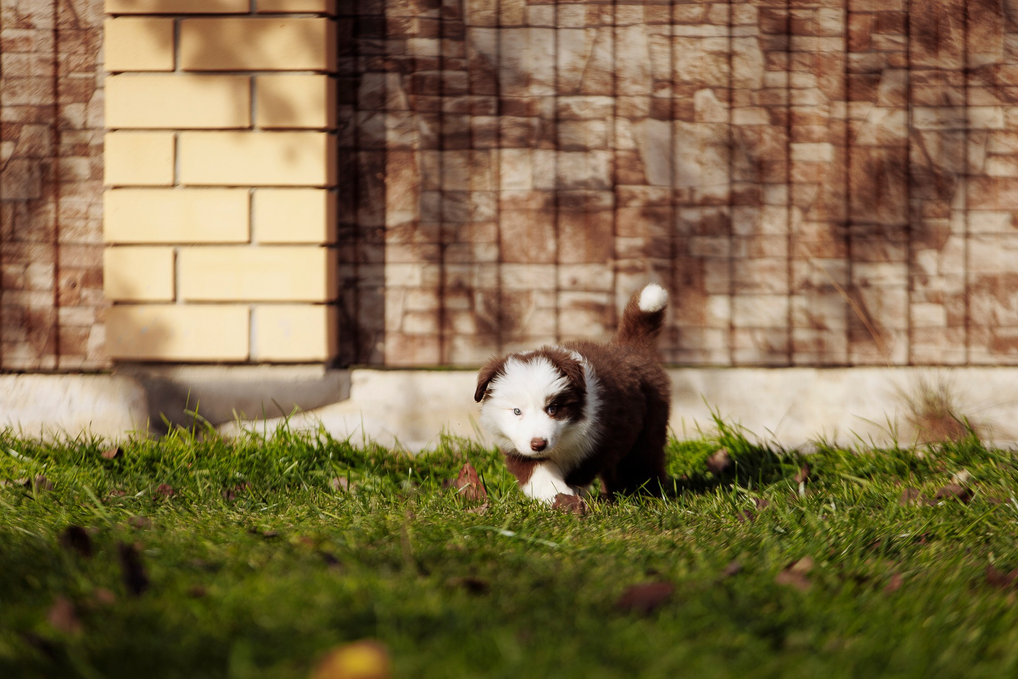 У дома с большой компанией от мала до велика. О нас