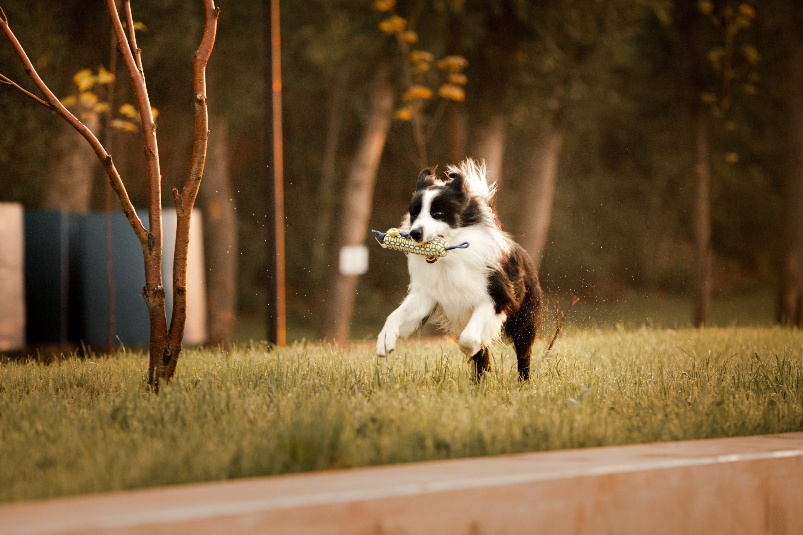 Сочный рассвет, на который решились. О нас