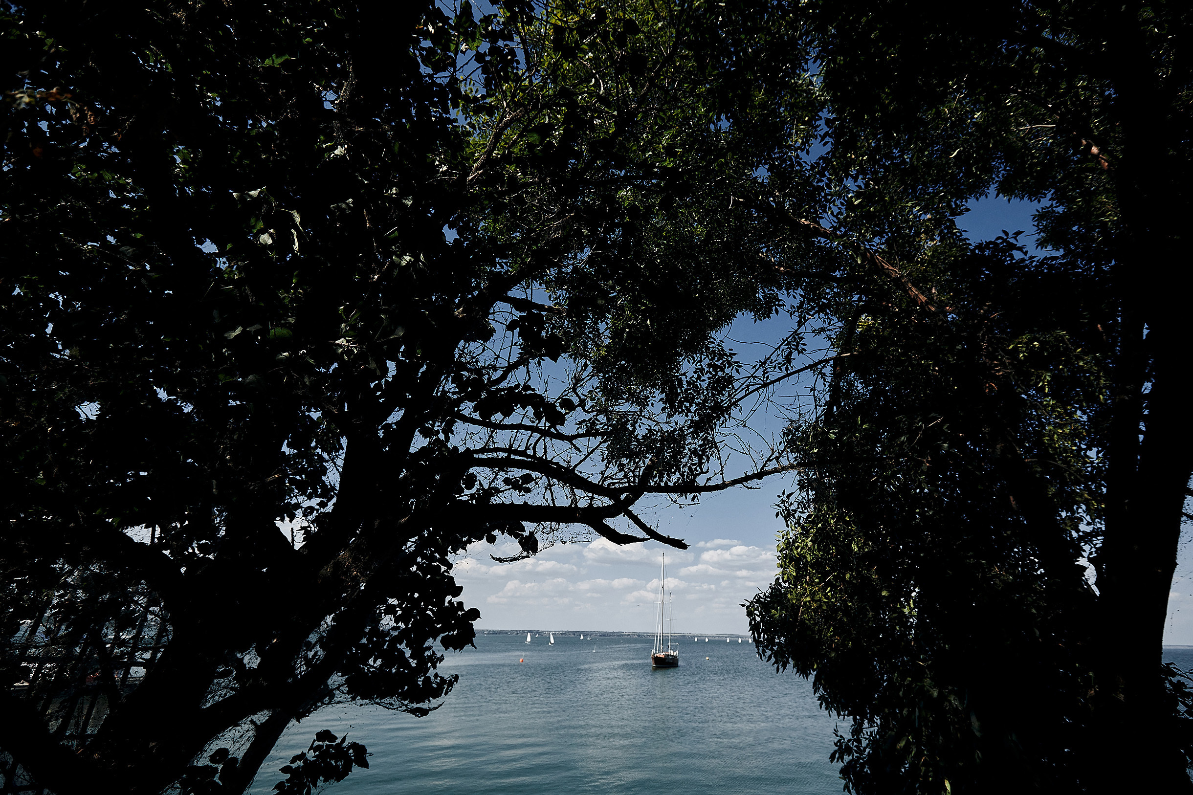 Предсвадебная прогулка на яхте. Свадебный и семейный фотограф Владимир Карамышев