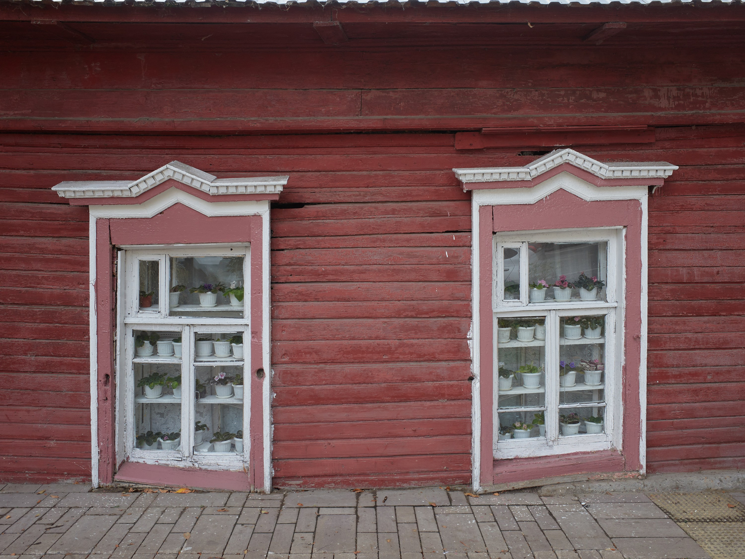 #мелкийжемчуг. Ольга Шкотова документальный фотограф