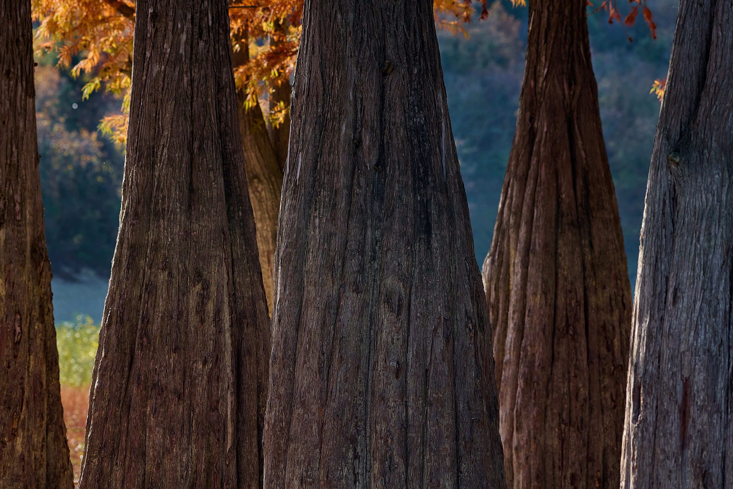 Текстуры и другие фоны. Textures and other. Яркие фото на Чёрном море