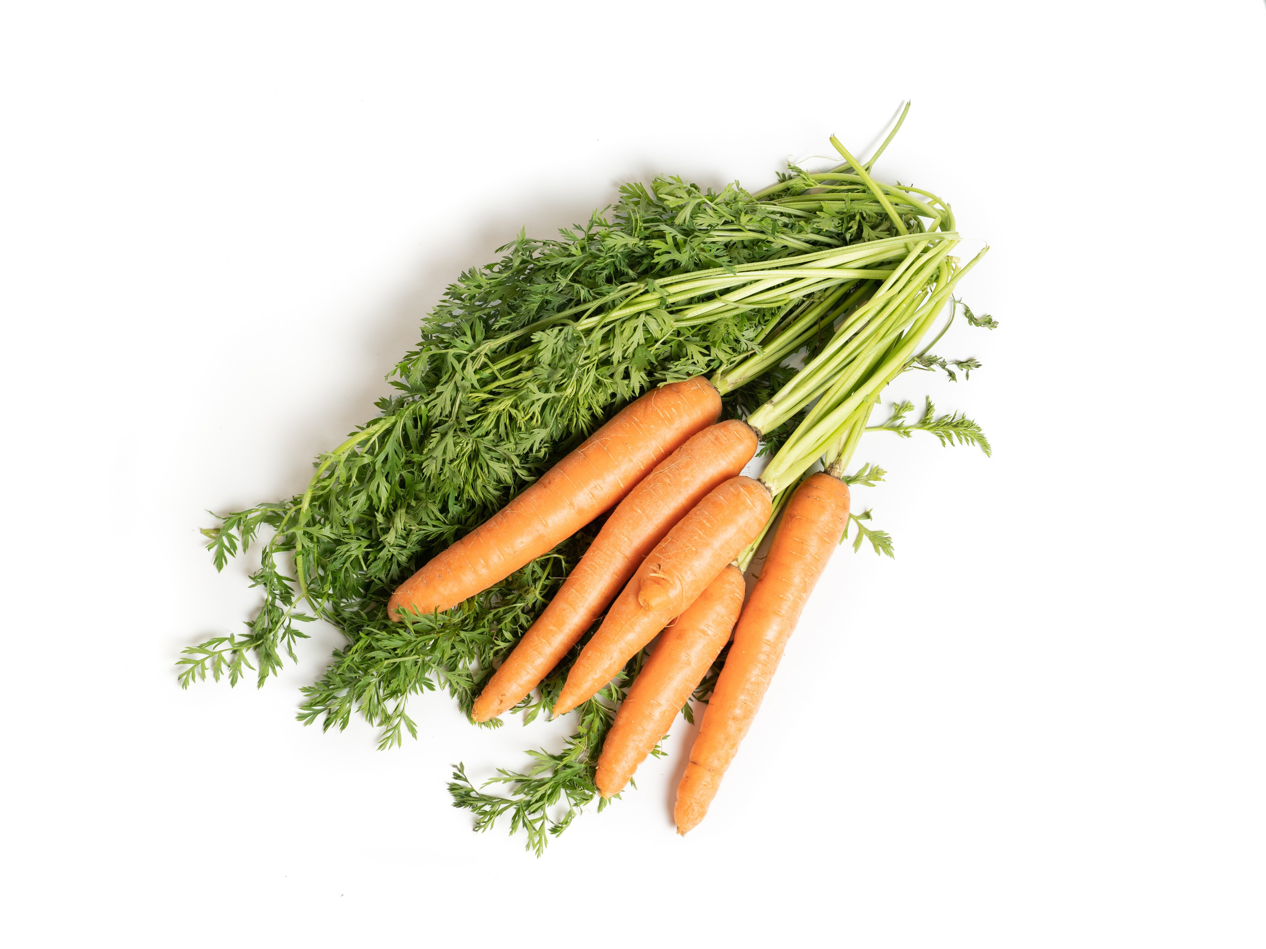 Яндекс Маркет. Предметный и фуд-фотограф в Москве Анна Царенко