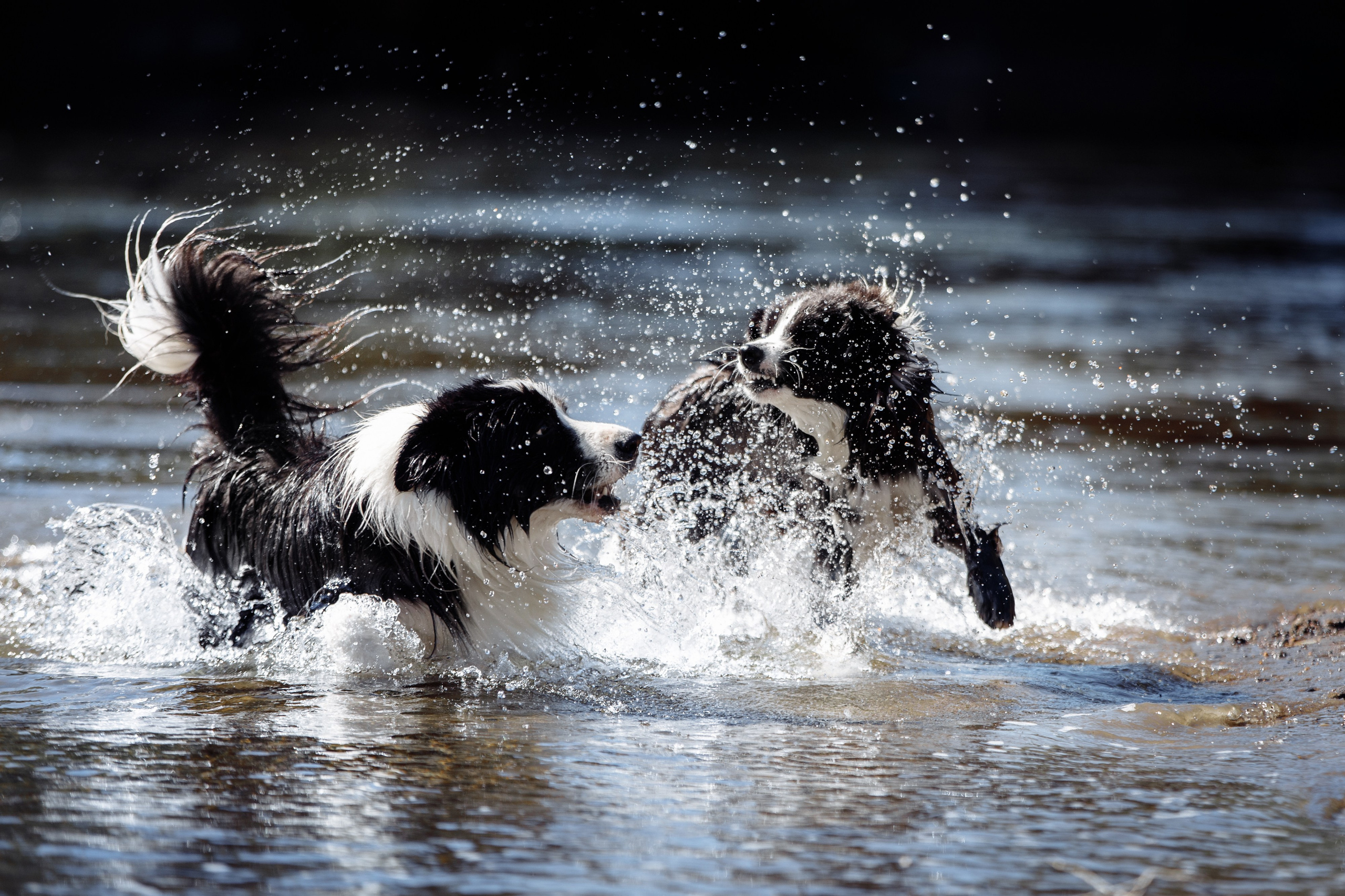 Водяные в Новотроицке. О нас