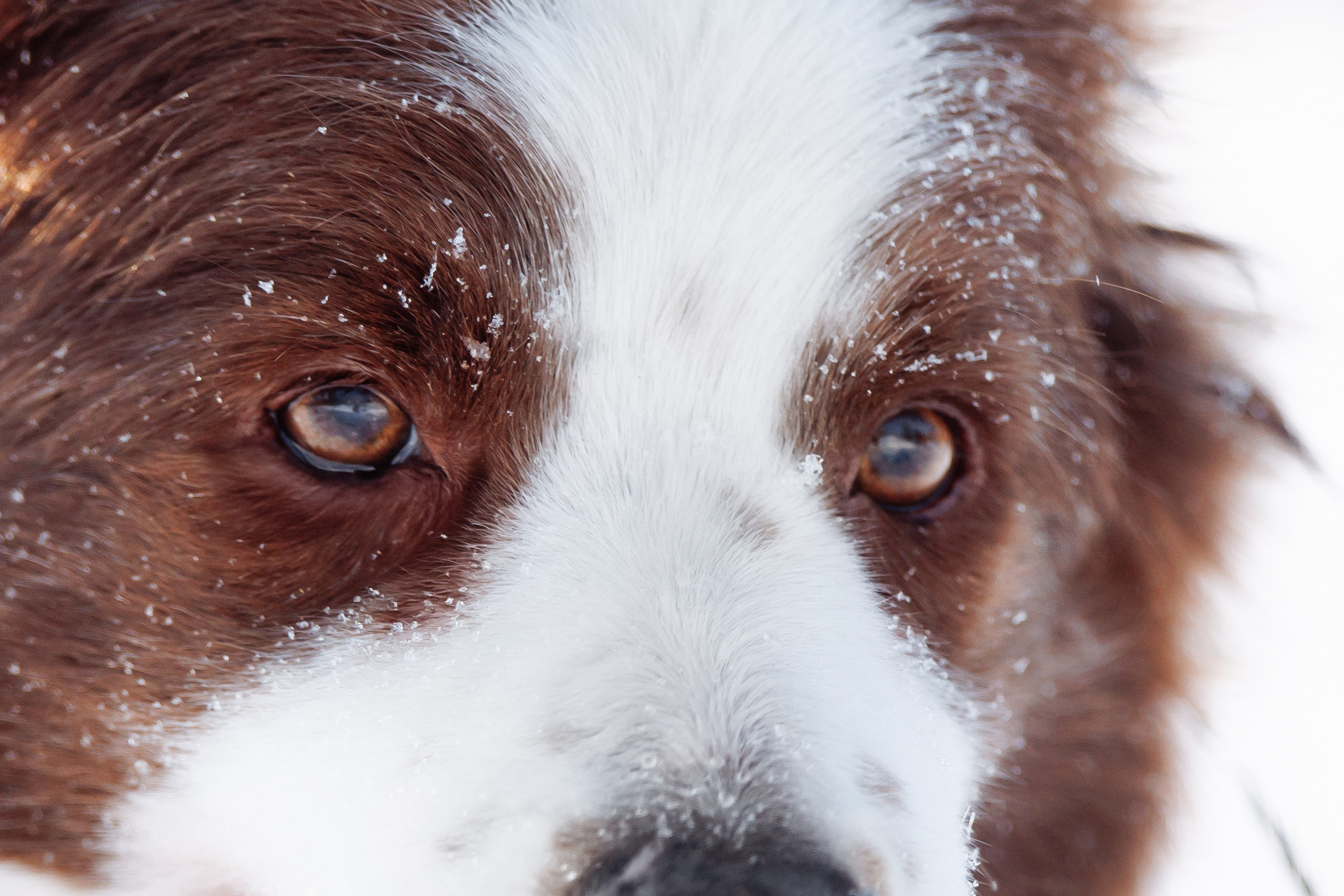 Яркий январь. О нас