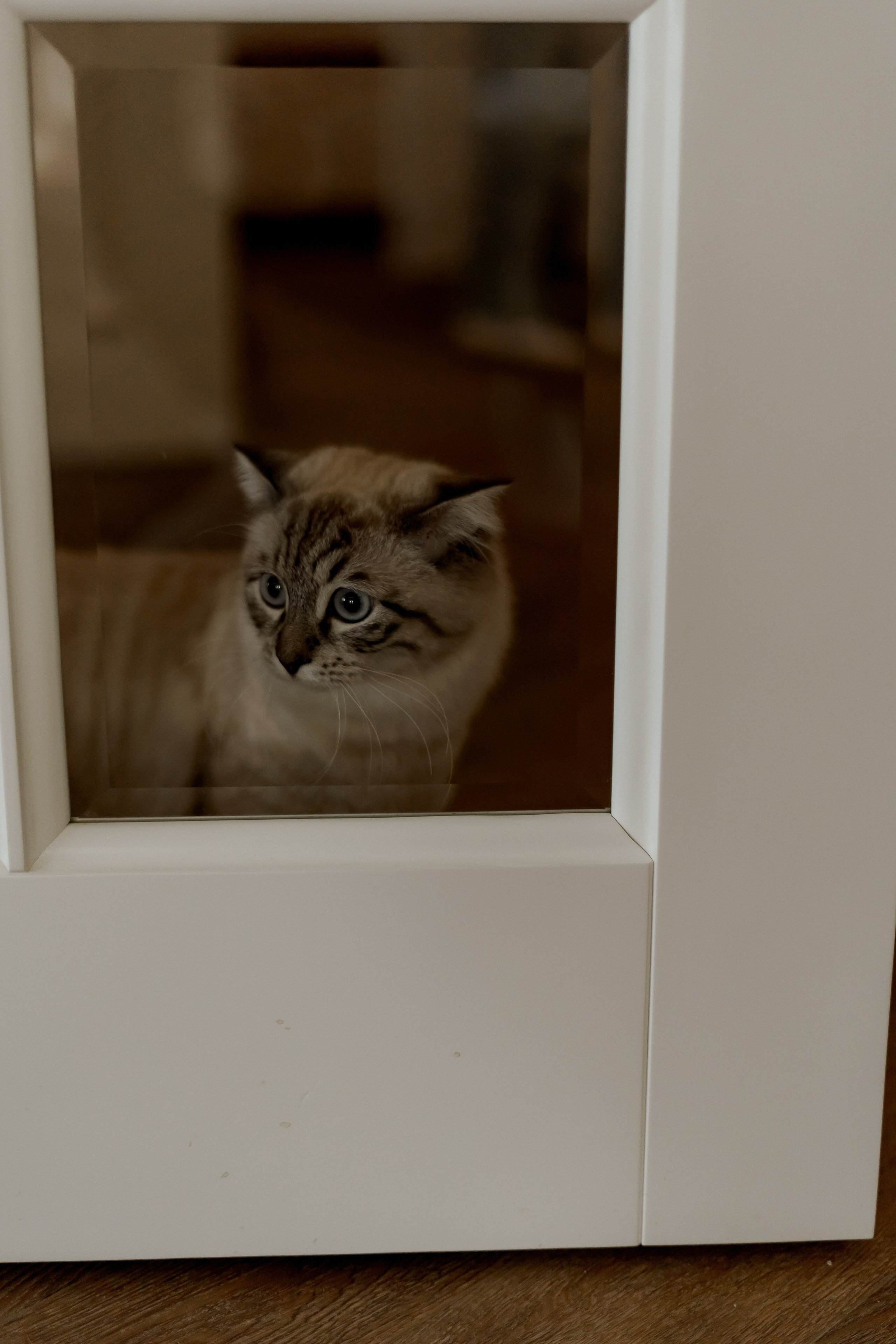 День рождения Татьяны. Фотограф Валерия Крахмалева