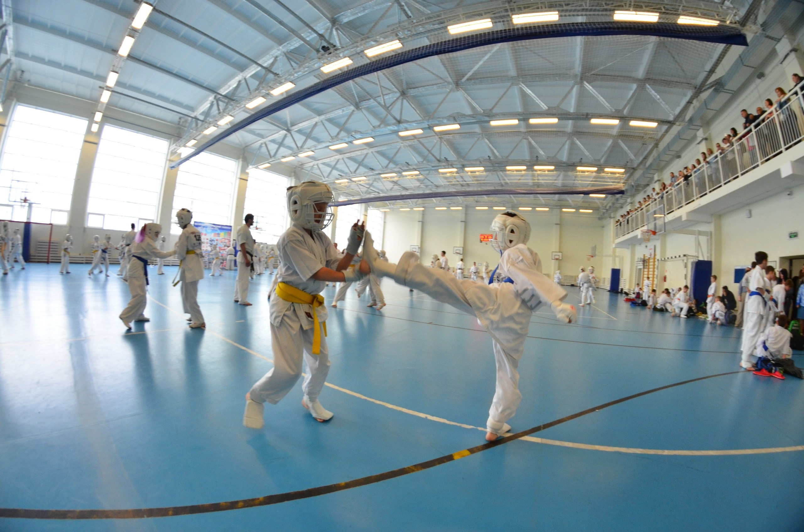 Соревнование по карате. Фотограф анималист, пейзажист, спортивные мероприятия. Новосибирск