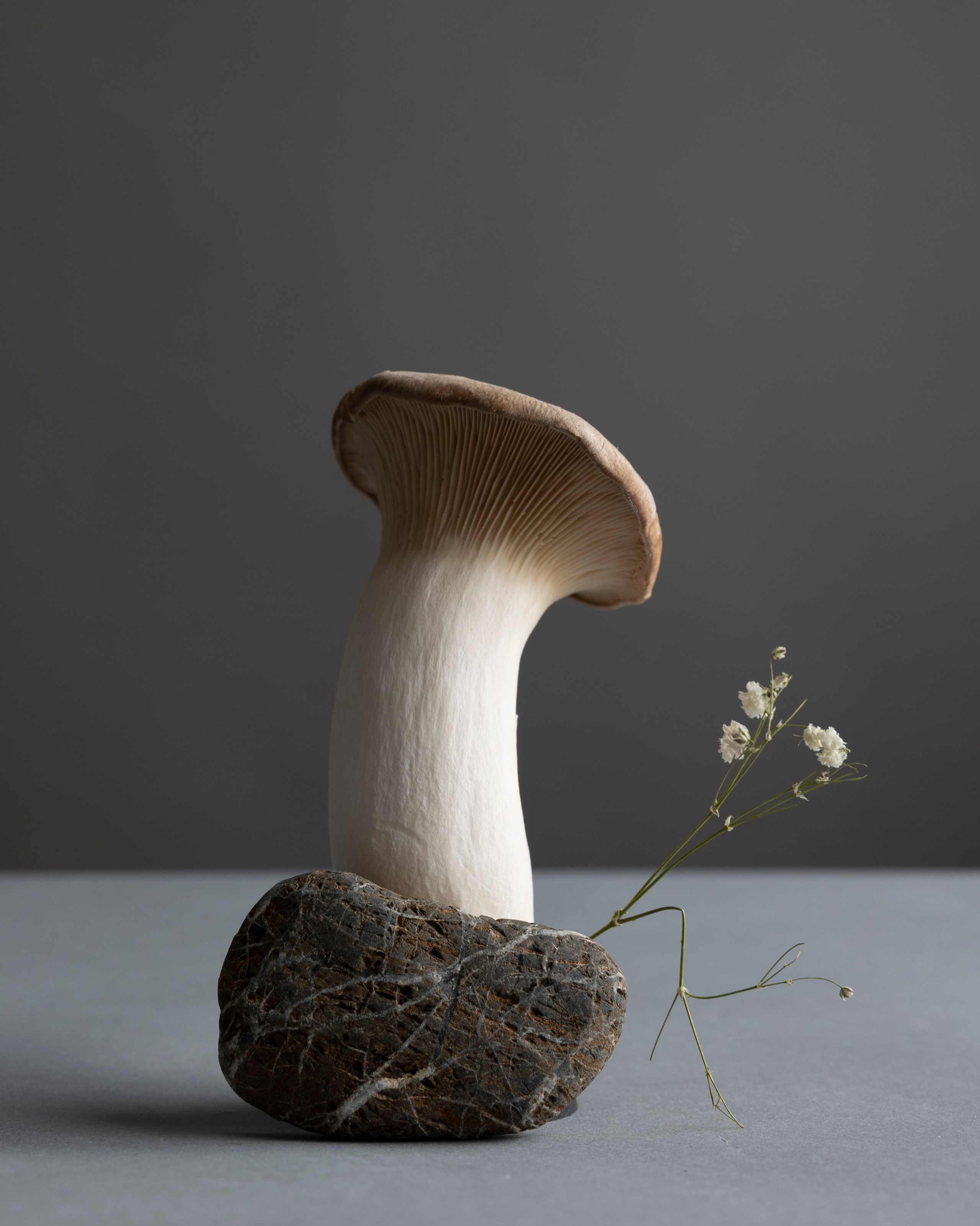 Art prints. Фотограф алина стерхова, алина стерхова фотограф, фотограф москва