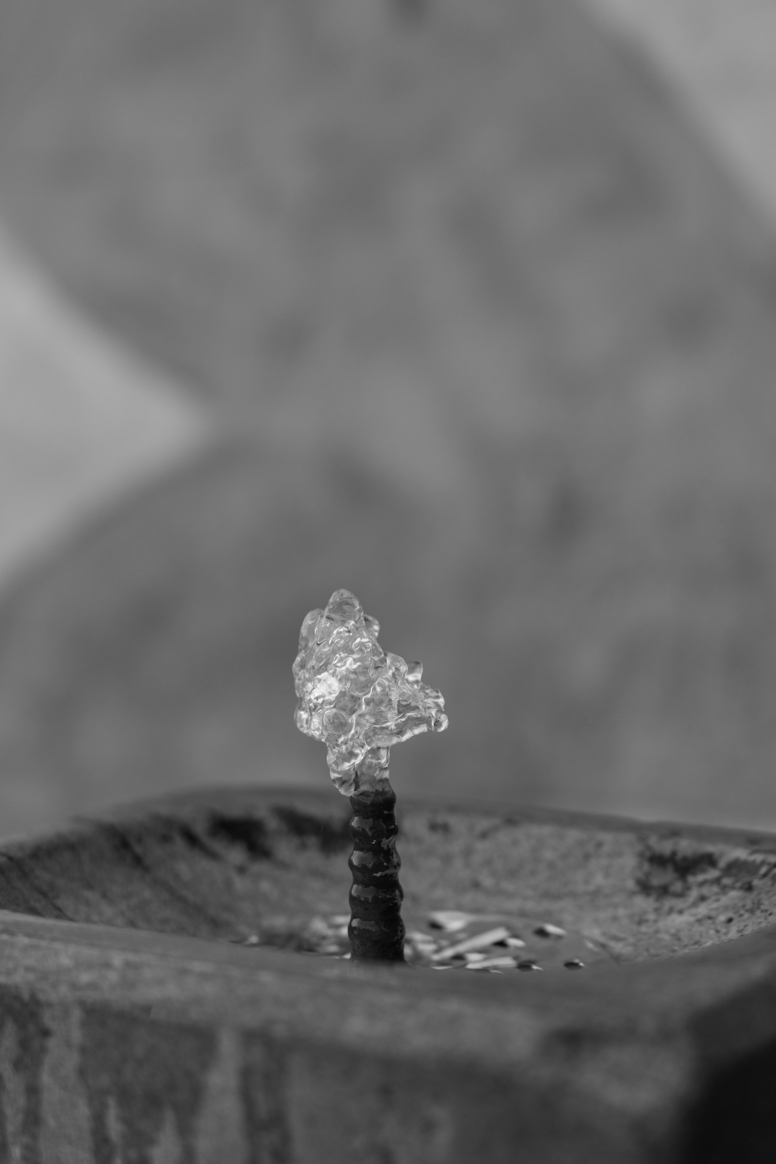 Art prints. Фотограф алина стерхова, алина стерхова фотограф, фотограф москва