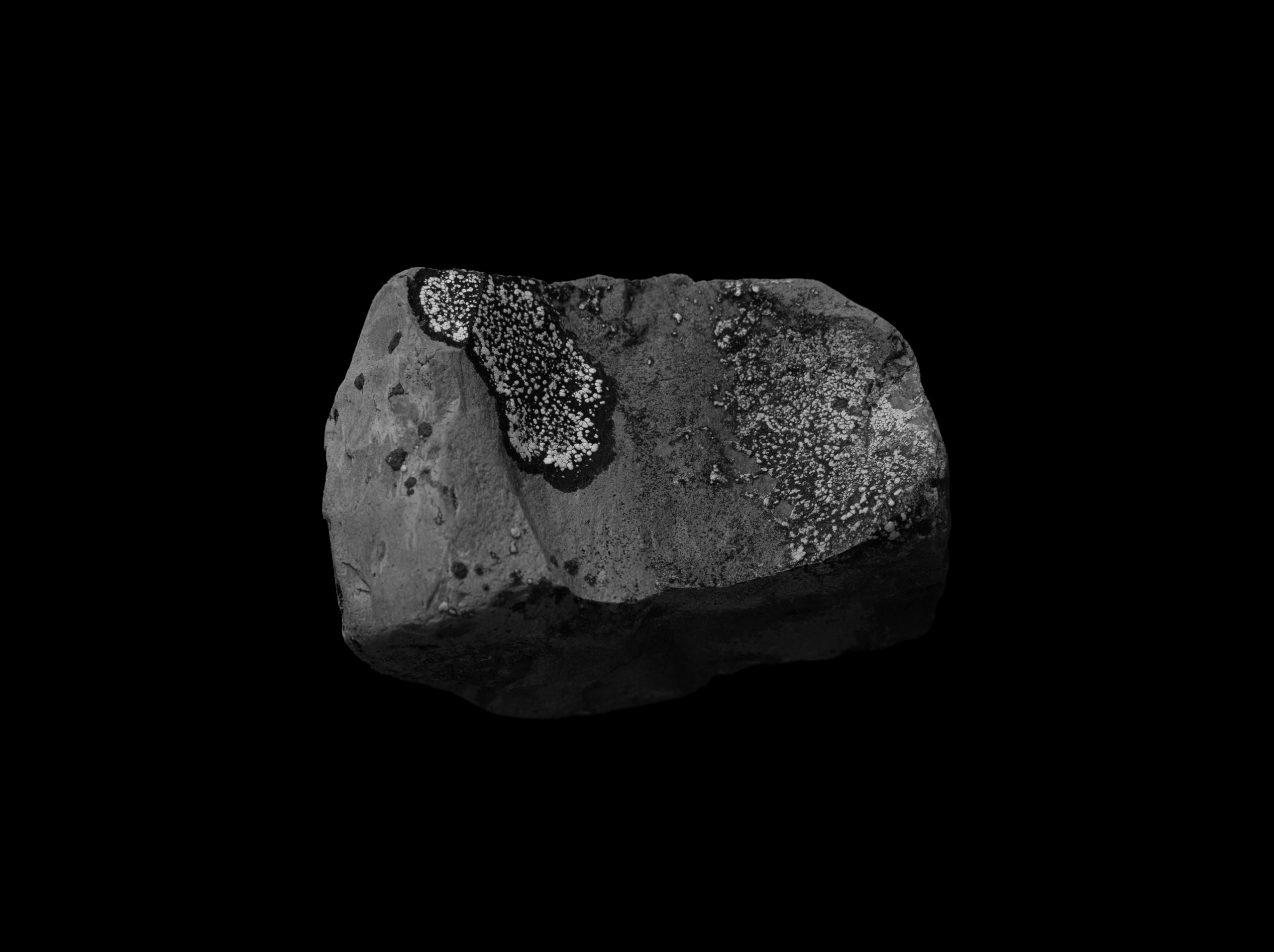 Пейзаж в интерьере | Interior landscape. Фотограф алина стерхова, алина стерхова фотограф, фотограф москва