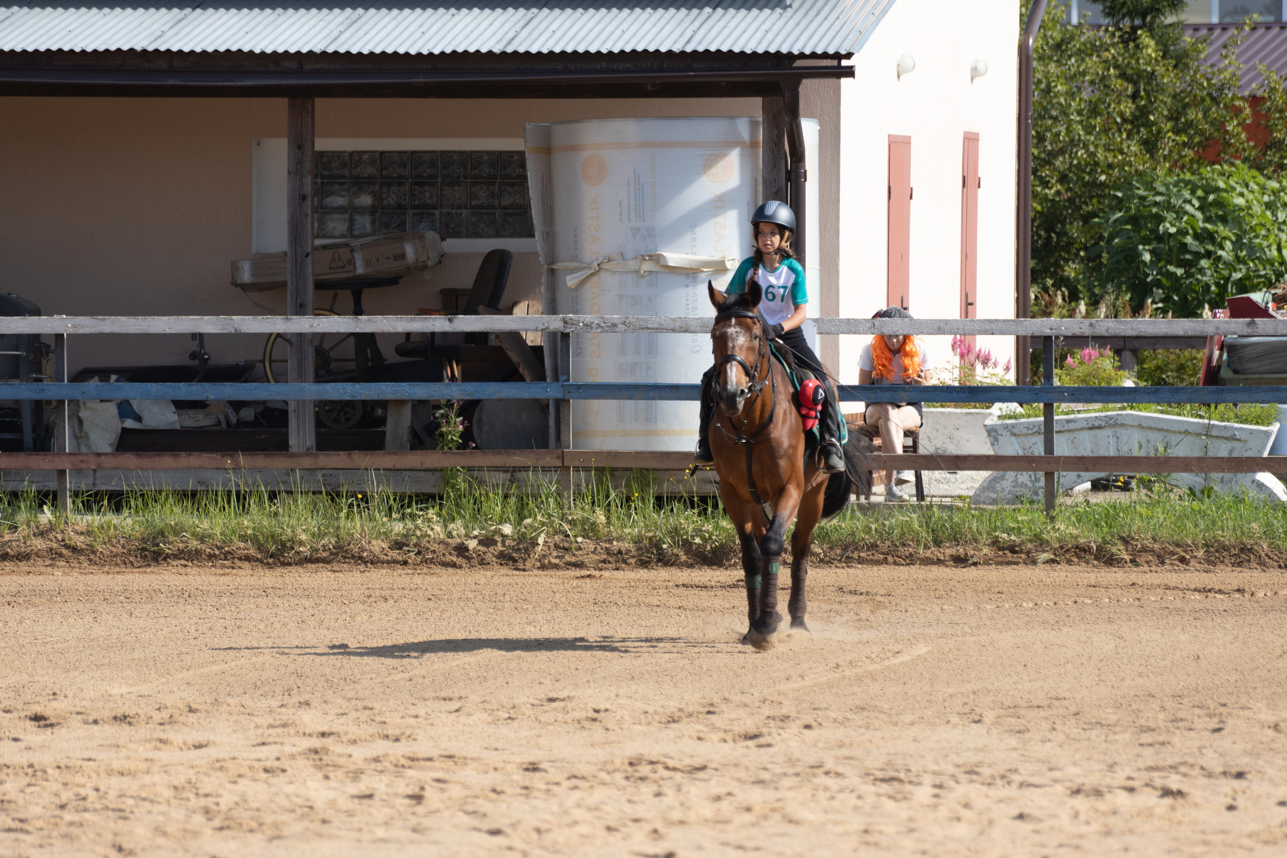Конюшня. Фотограф в Москве и Истре