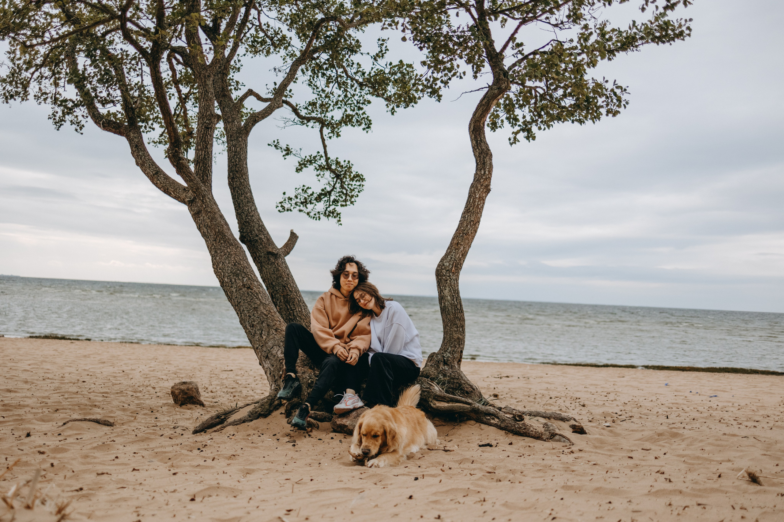 Фоси и его семьи. Фотограф — Анималист | Санкт-Петербург