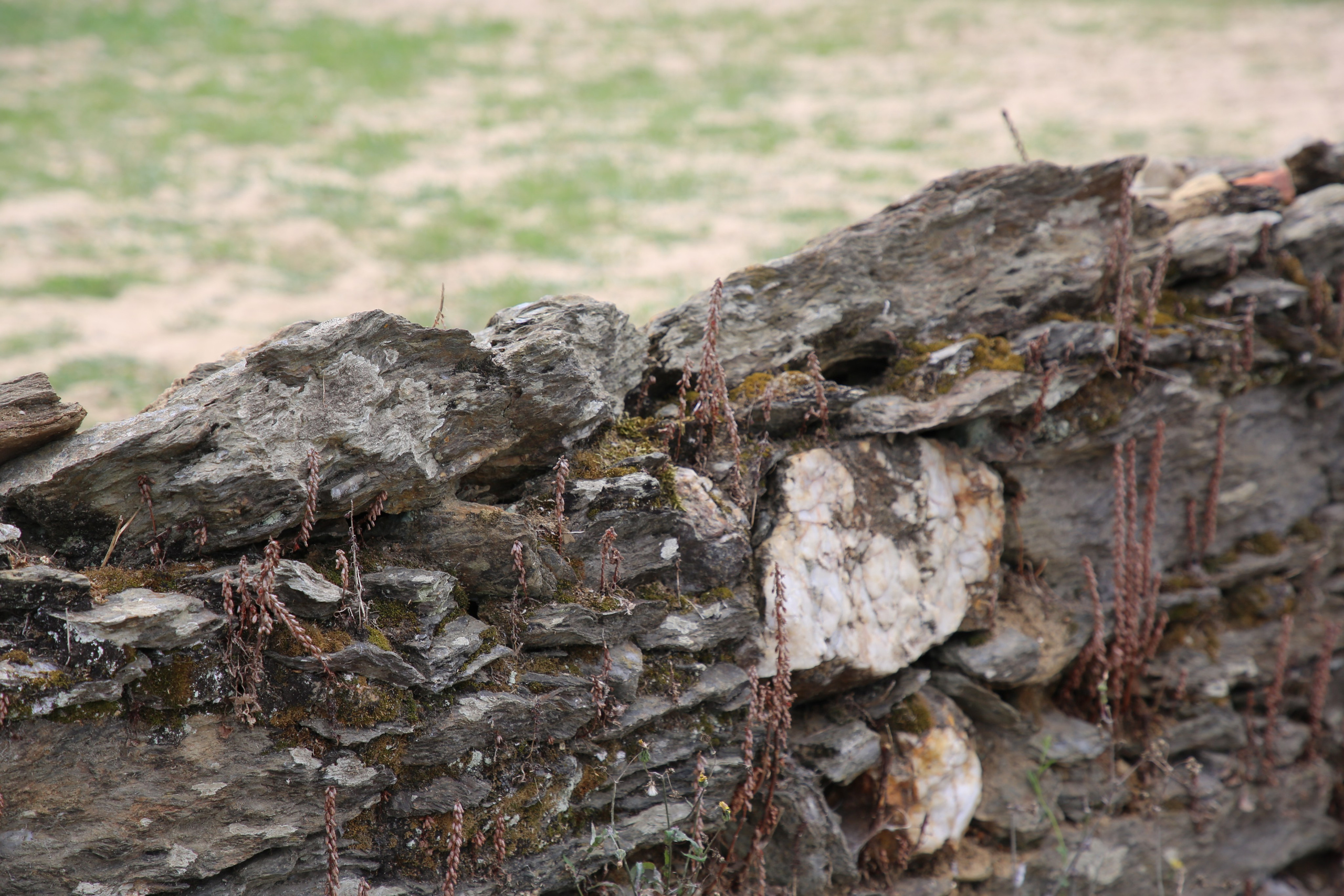 Esmoriz, Portugal. Andrey Filippov Photographer