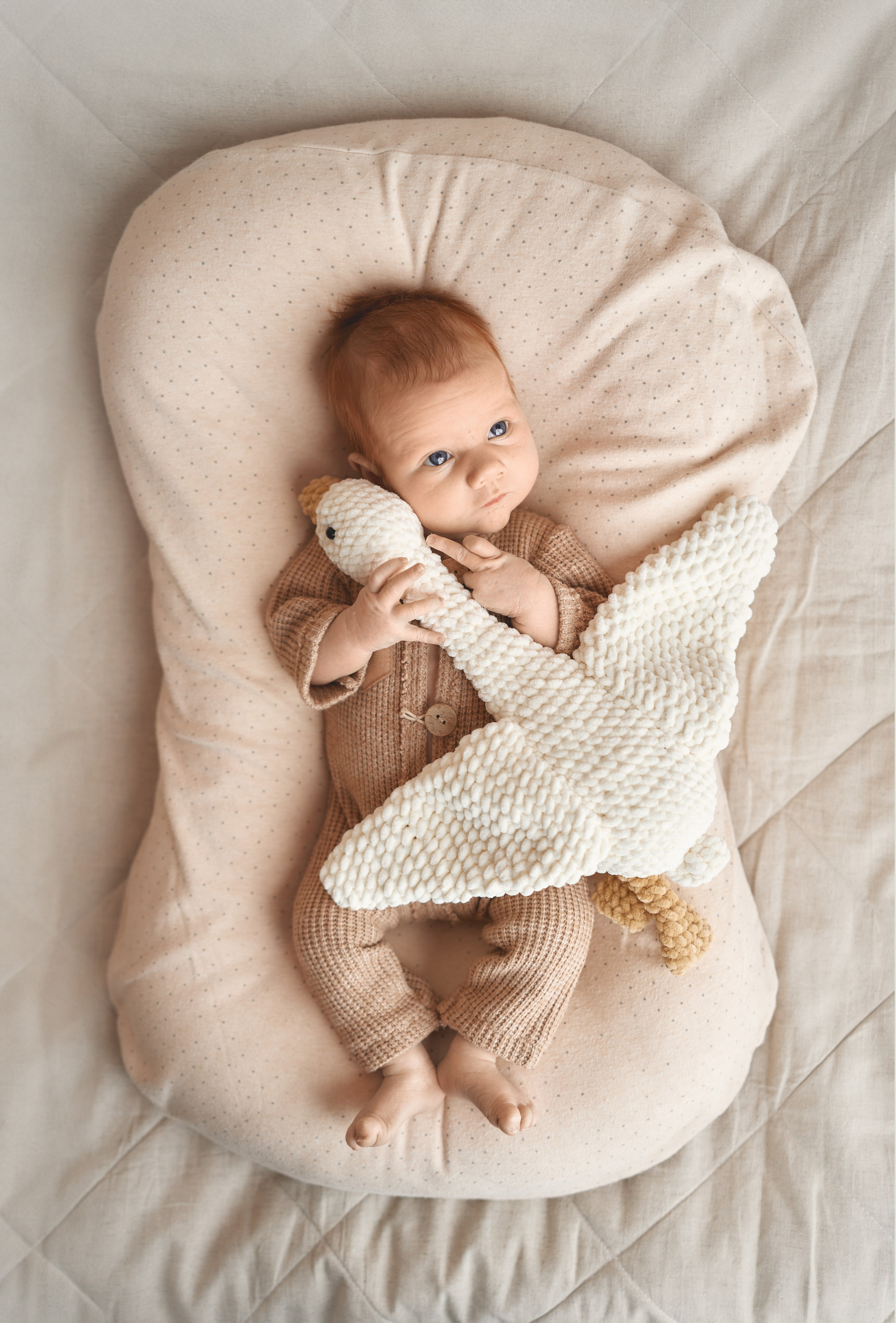 Ярослав. Фотограф новорожденных во Владивостоке Ромашко Виктория