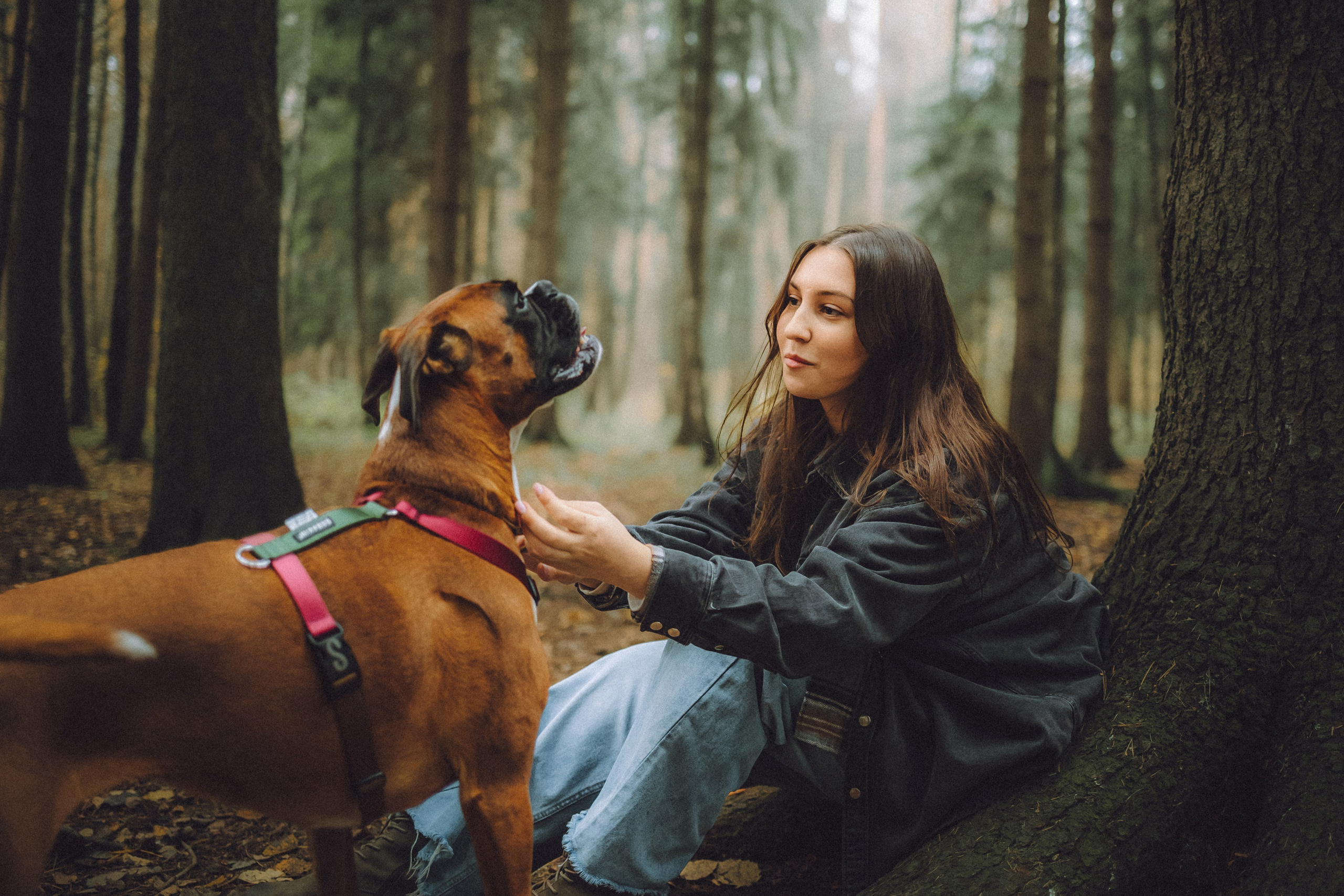 Элли и ее семья