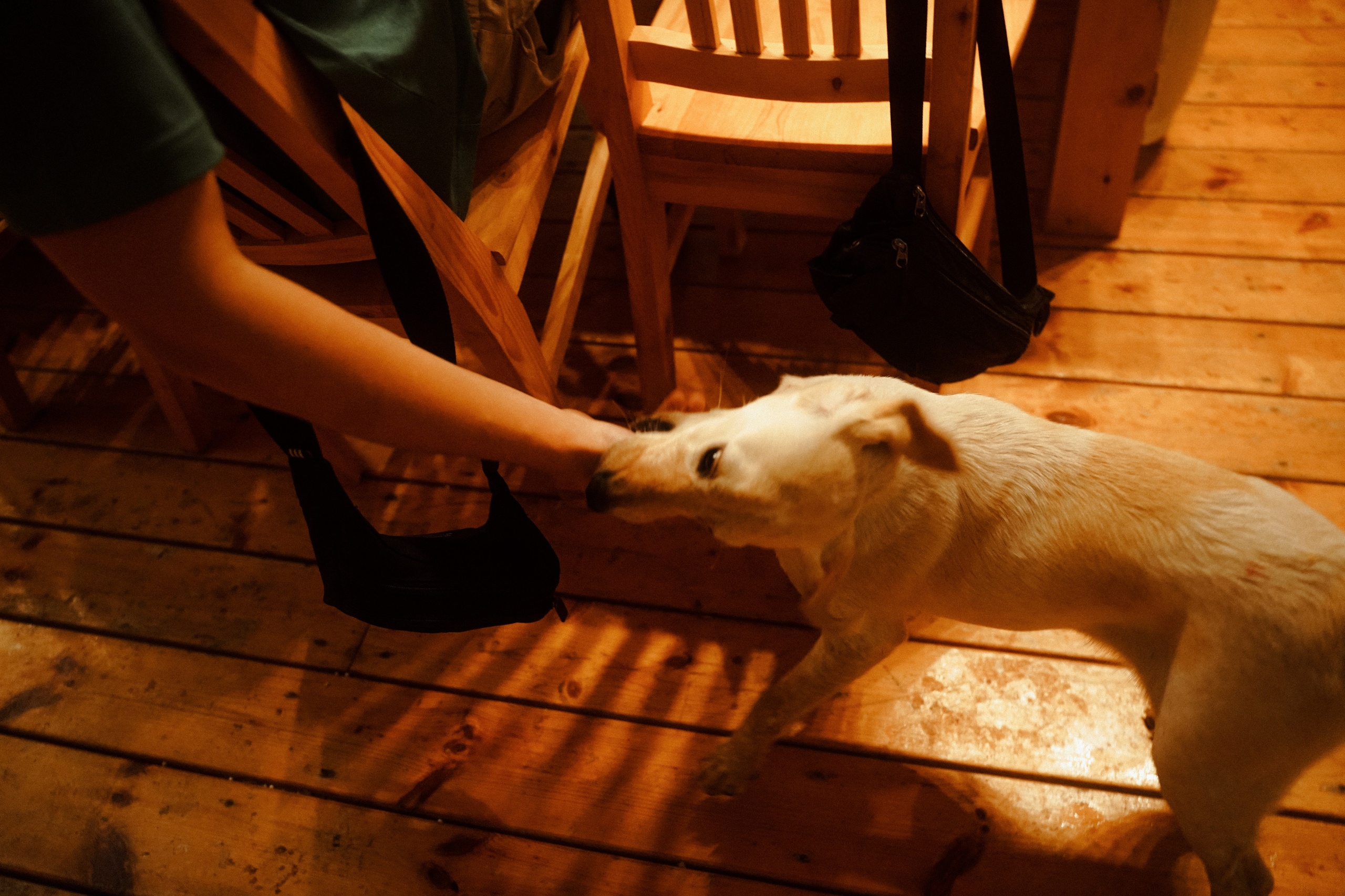 Тбилиси-на-Дону. Фотограф в Ростове-на-Дону и Краснодаре Роман Кудрявцев