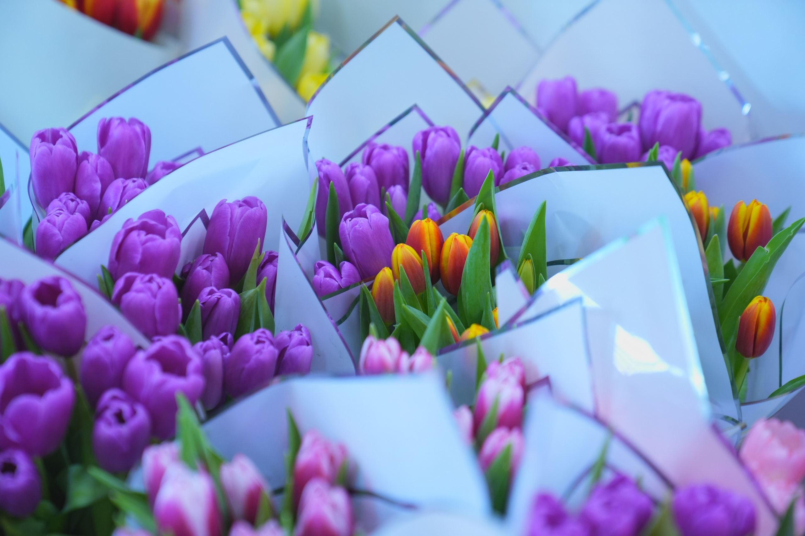 Еда, маркетплейсы, предметные и контент снимки. Репортажный фотограф в Калининграде Морозов Кирилл