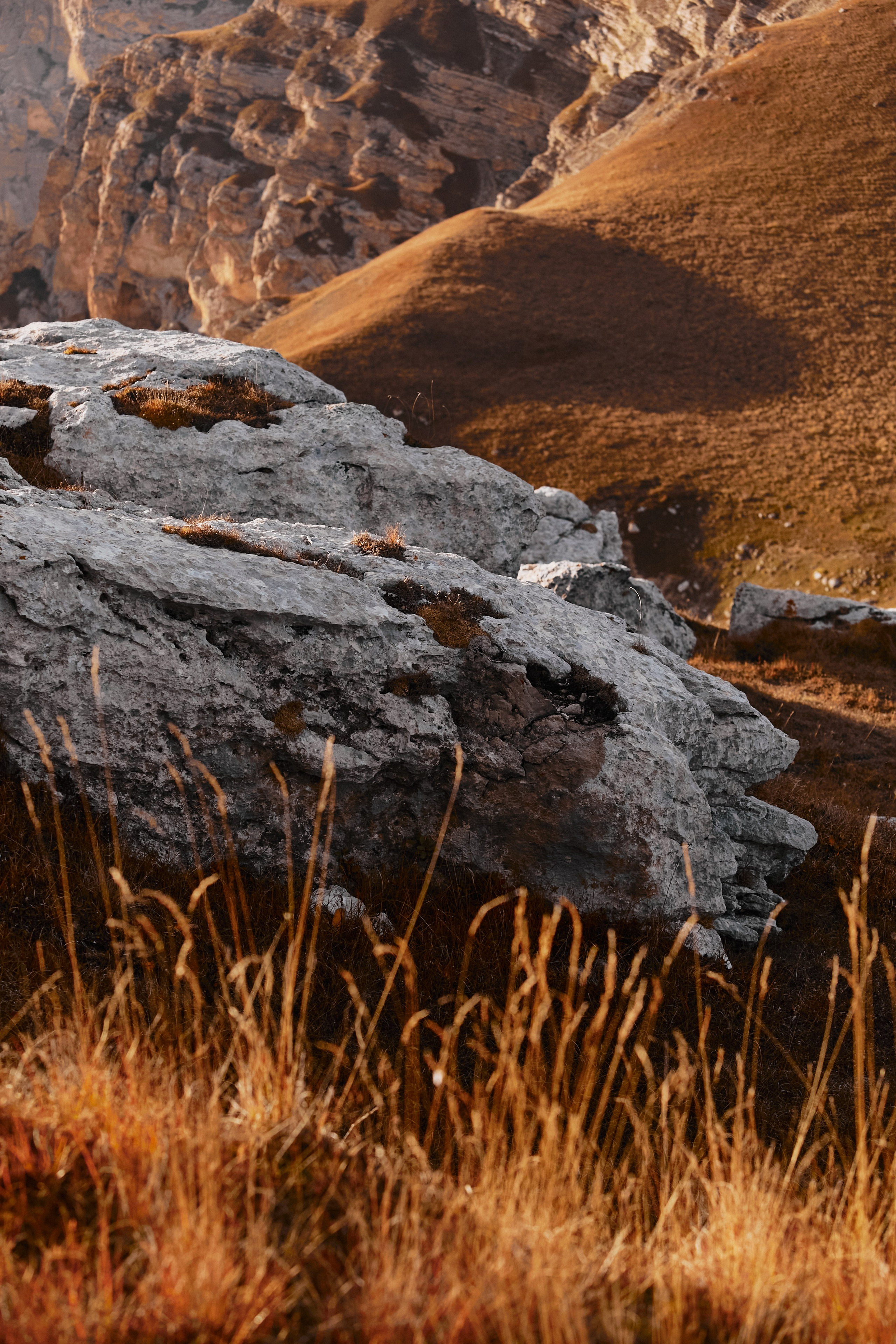 Лха 2500. Фотограф Продюсер в горах КБР / Москва  Нальчик Горы