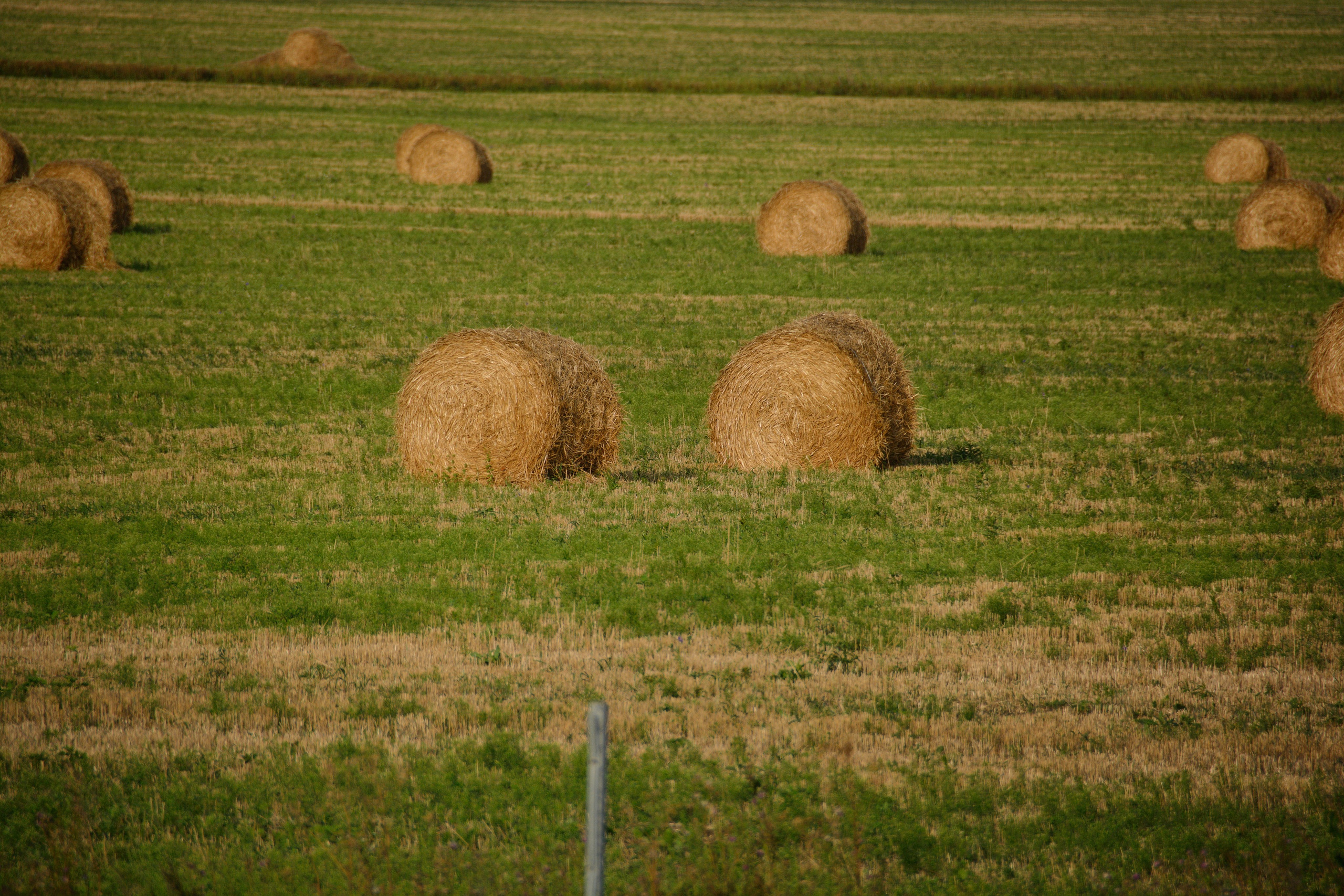 Фотограф Ваших событий 📸