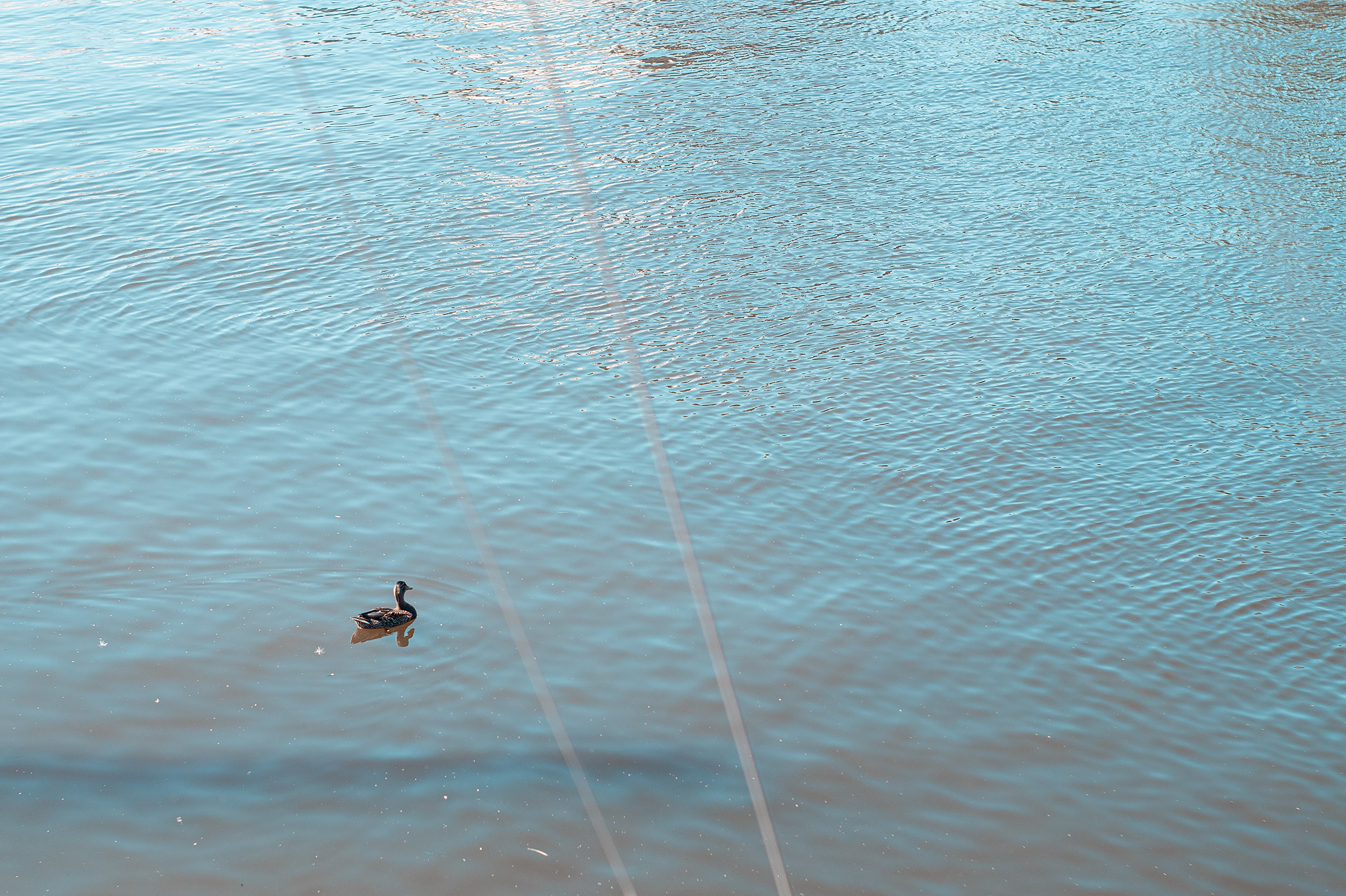 Ораниенбаумский морской фестиваль. Фотограф в Санкт-Петербурге и ЛО Егор Ставер
