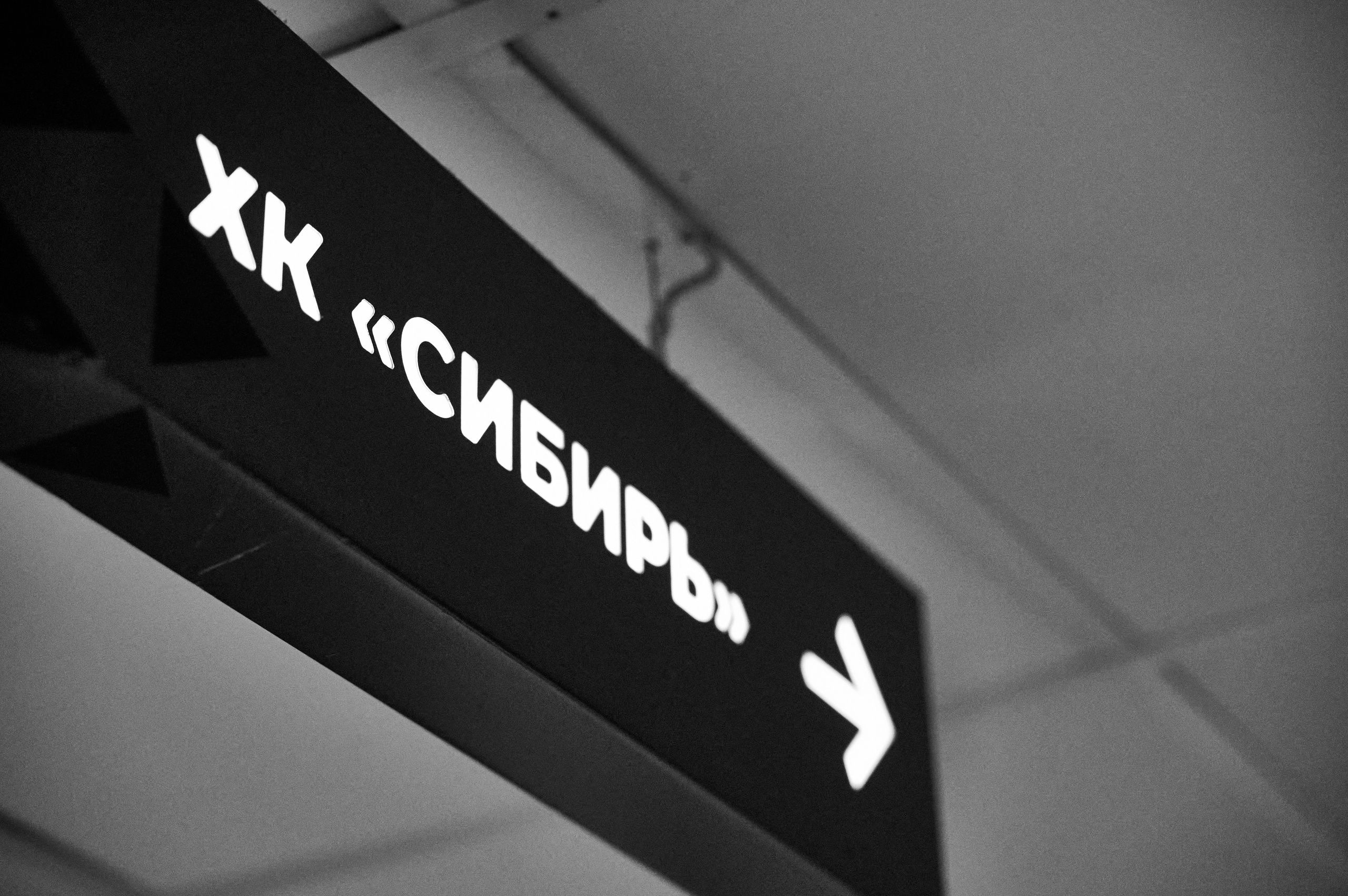 Сибирские снайперы-Толпар. Фотограф Универсал в Новосибирске