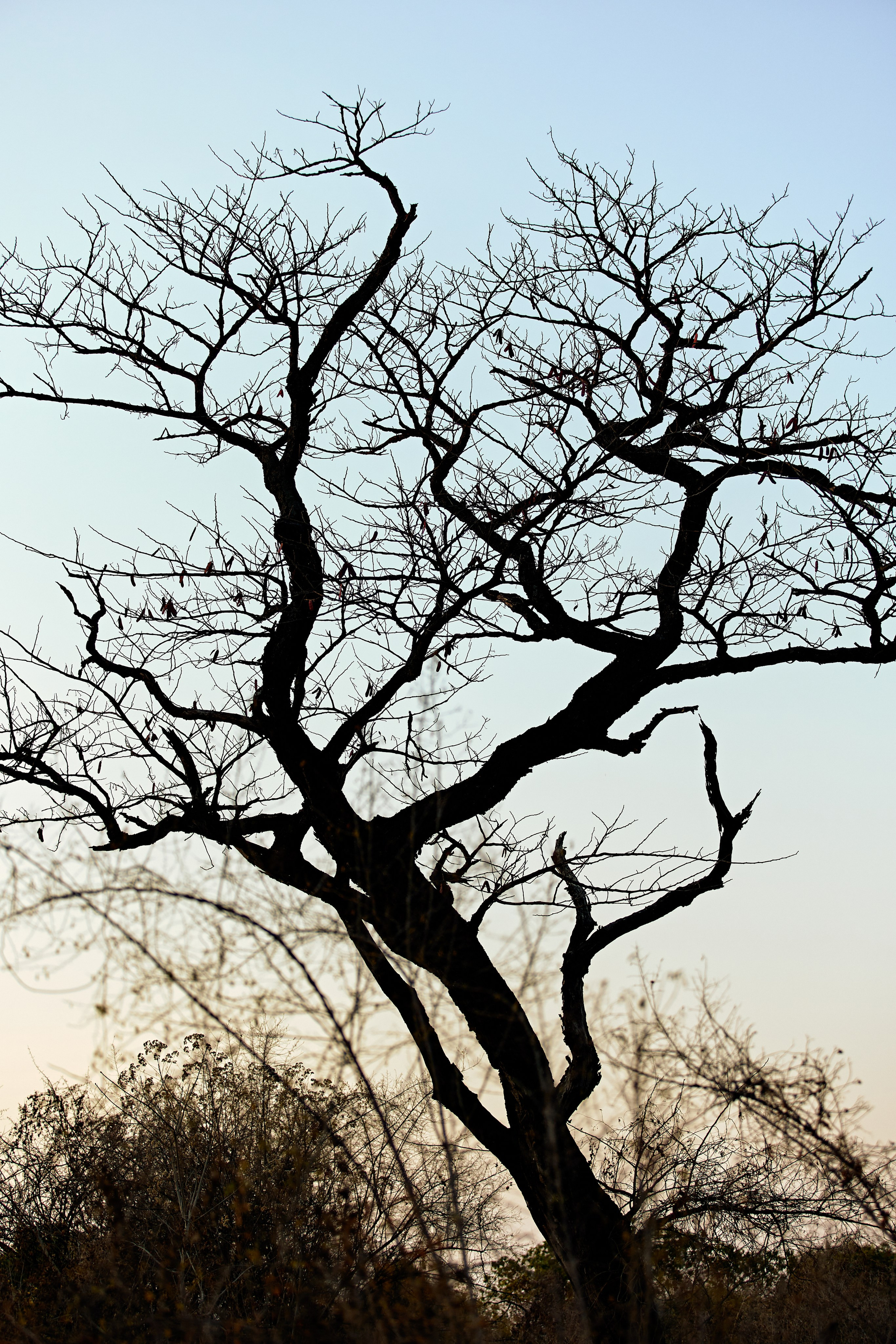 SOUTH AFRICA EMBA 38. Дмитрий Мазуркевич: Профессиональный Репортажный Фотограф