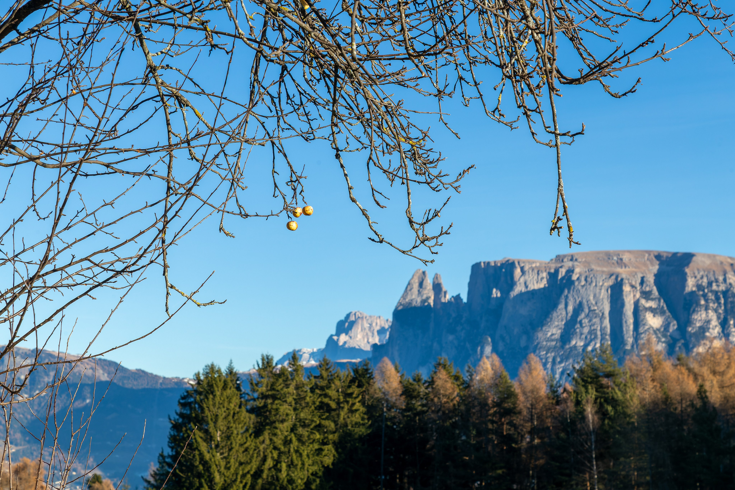 Фотосъёмка Альпы Италия, пейзажи и архитектура. «Студия DRONAVT`s» — видеосъёмка и фотография г. Москва