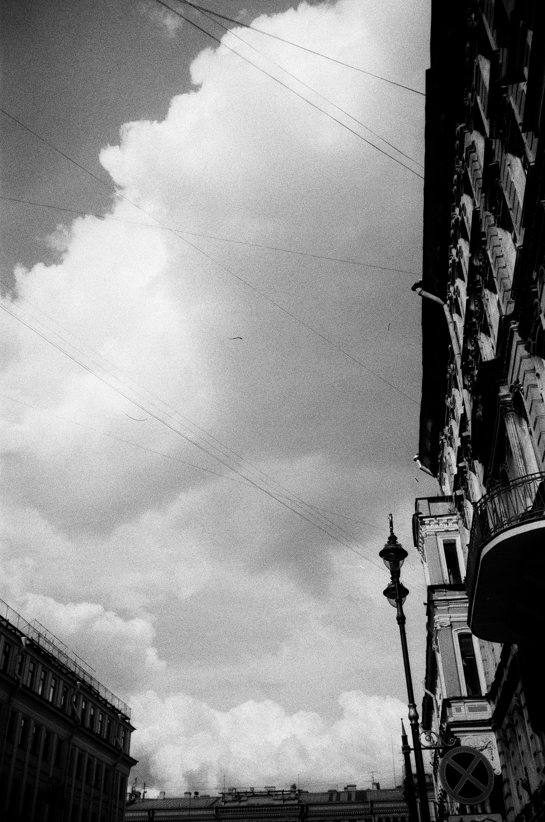 Elena Raya • Photographer