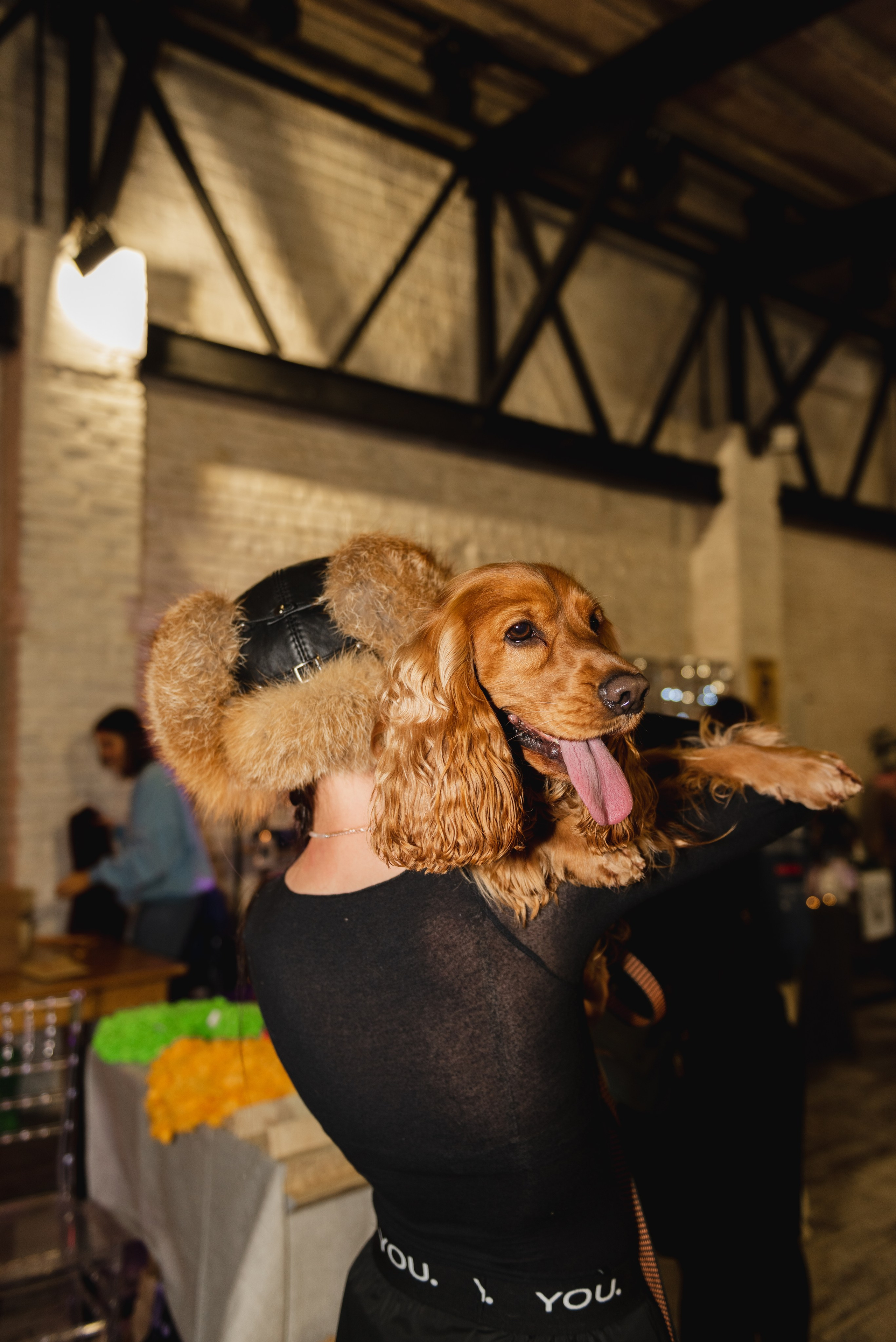 Pets. Фотограф в Москве Daria Lens