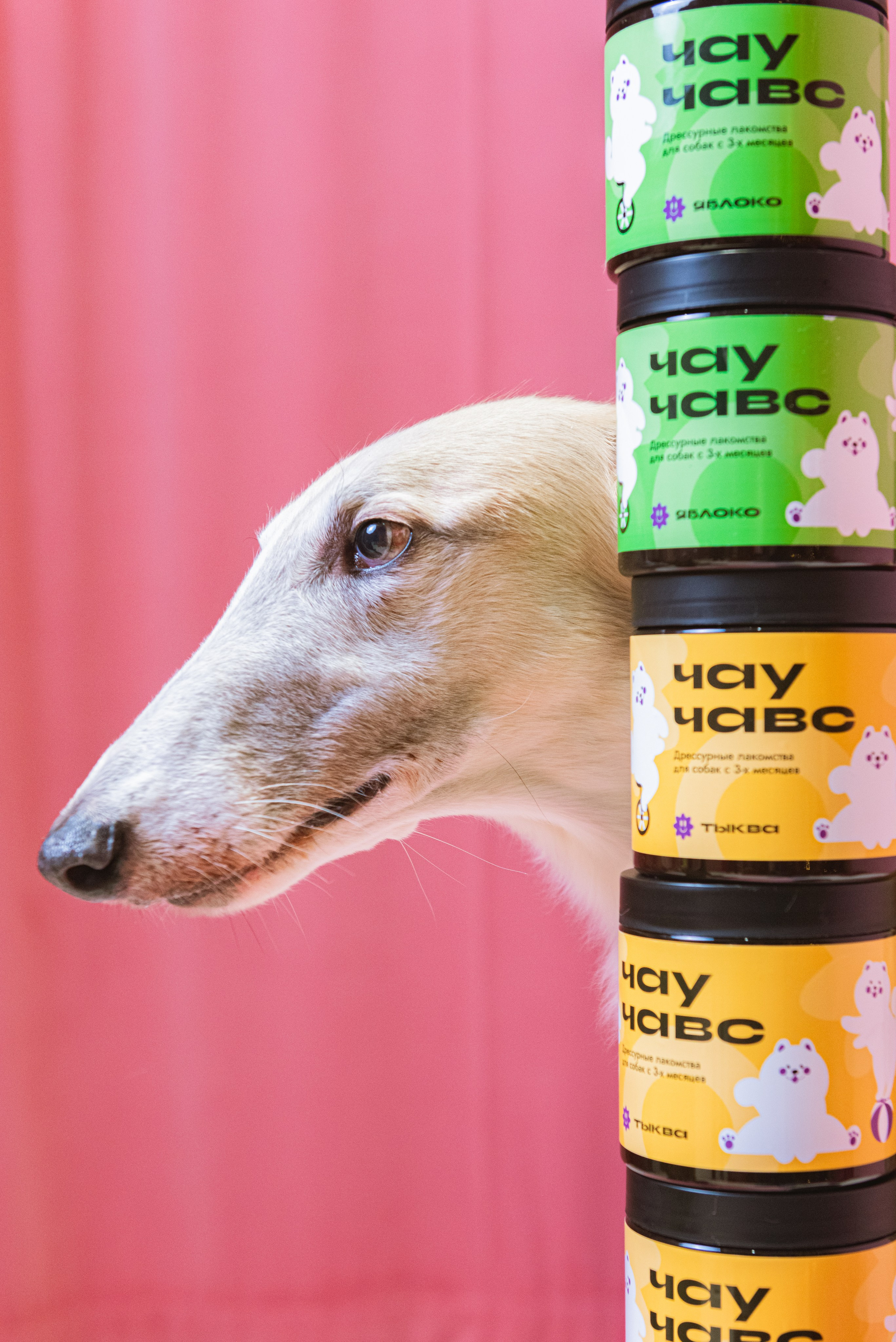 Чау Чавс. Фотограф в Москве Daria Lens