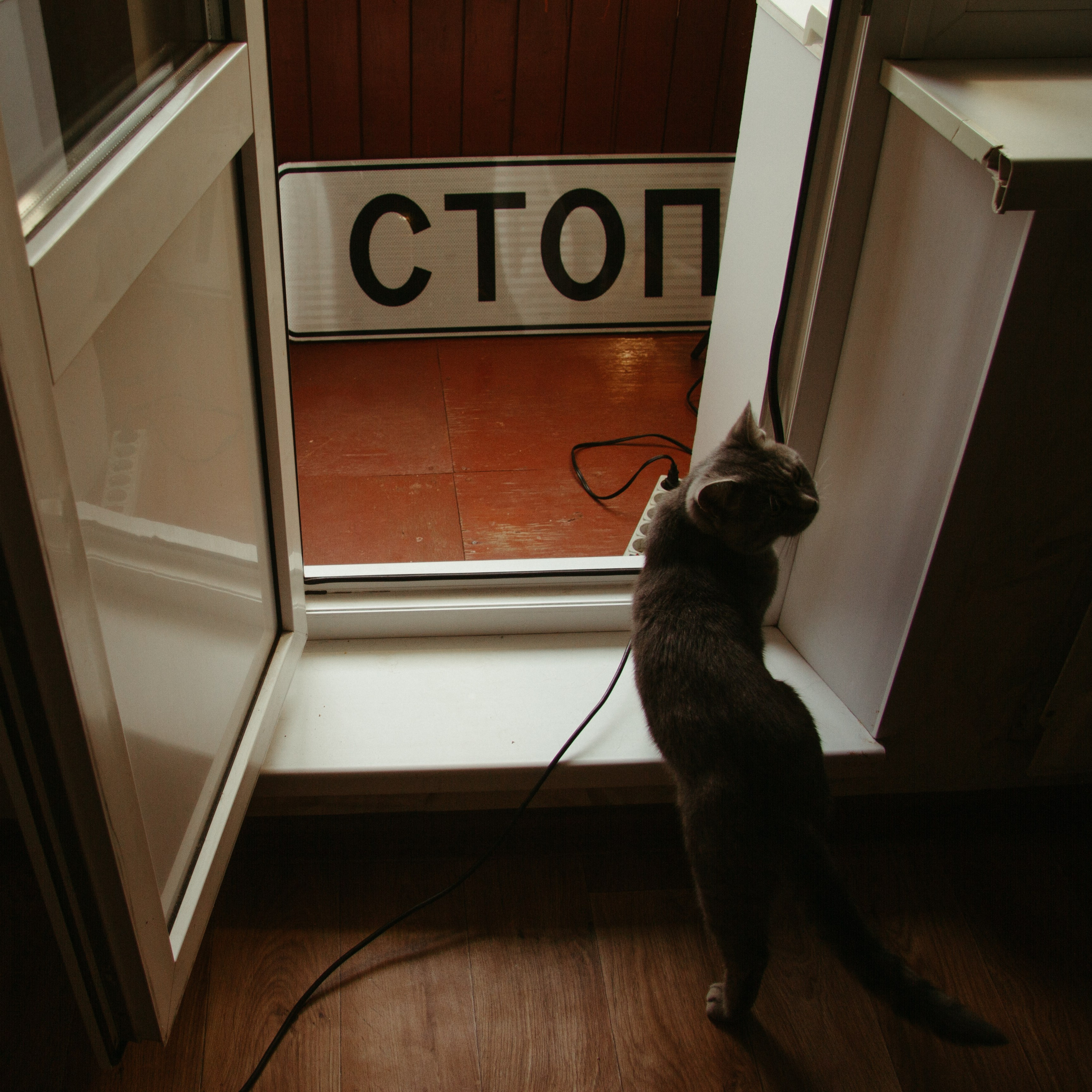 Репортаж. Варвара Бабёнышева