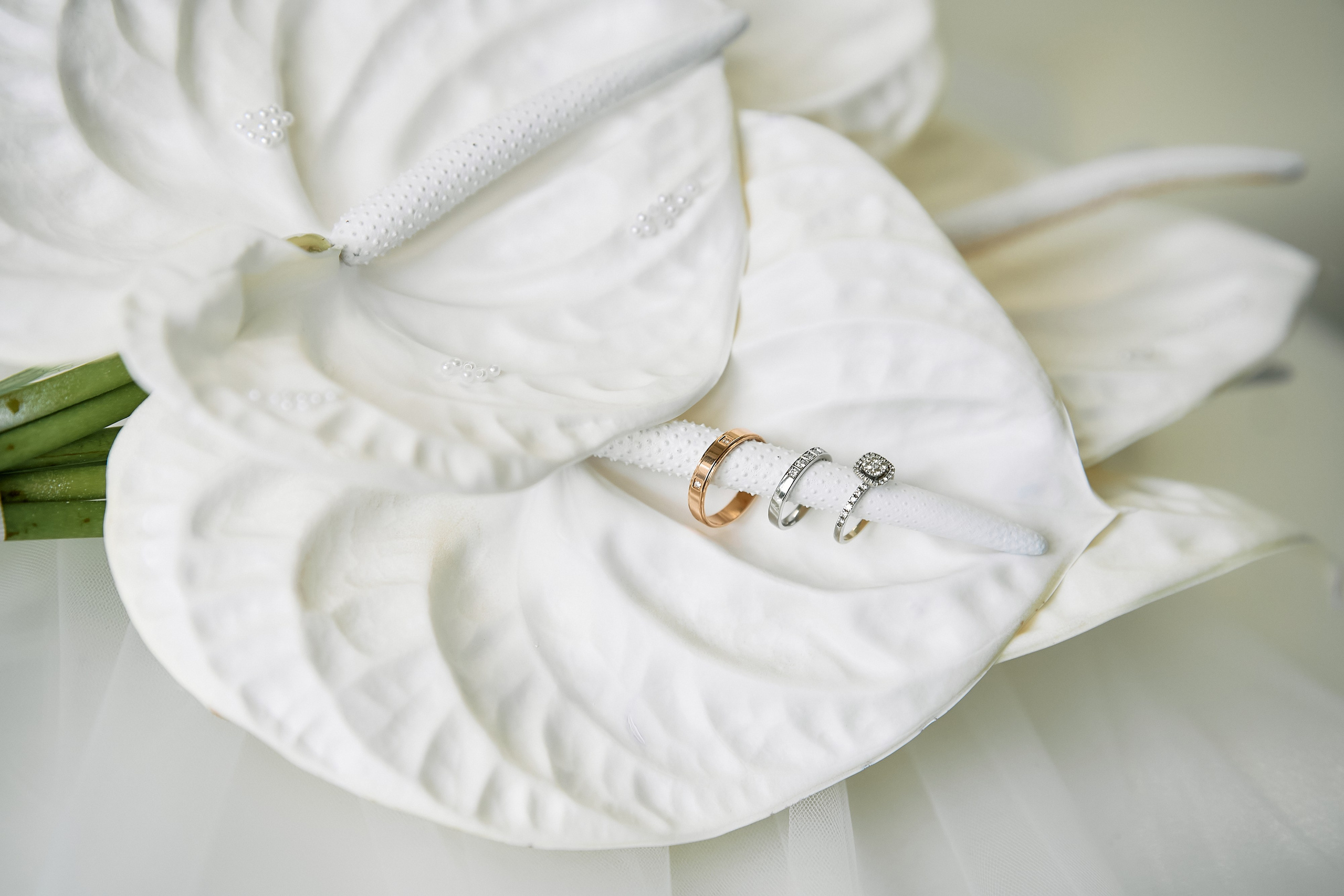 Алина и Денис. Свадебный фотограф Минск РБ