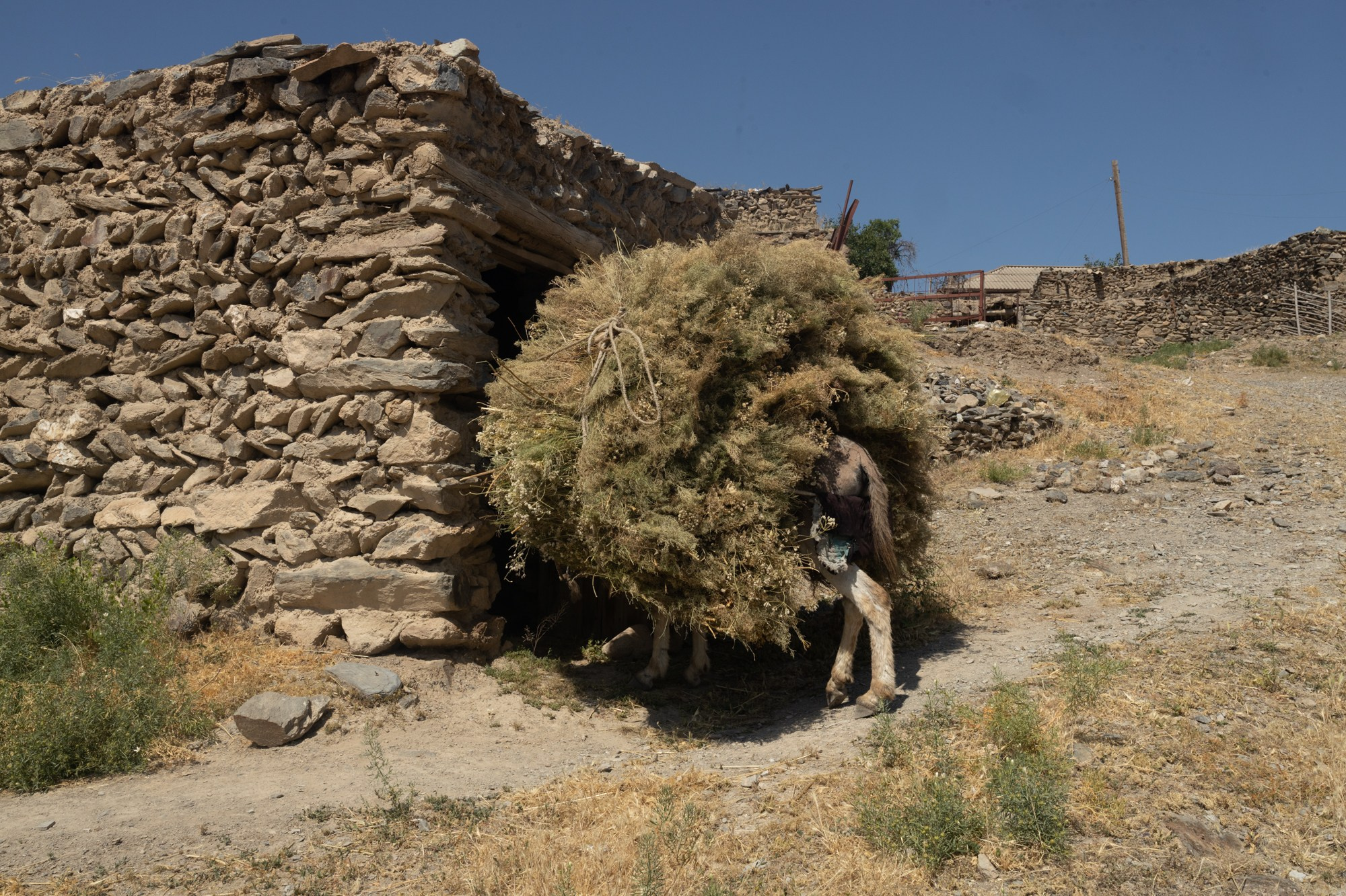 Uzbekistan daily. Commerce & art photographer