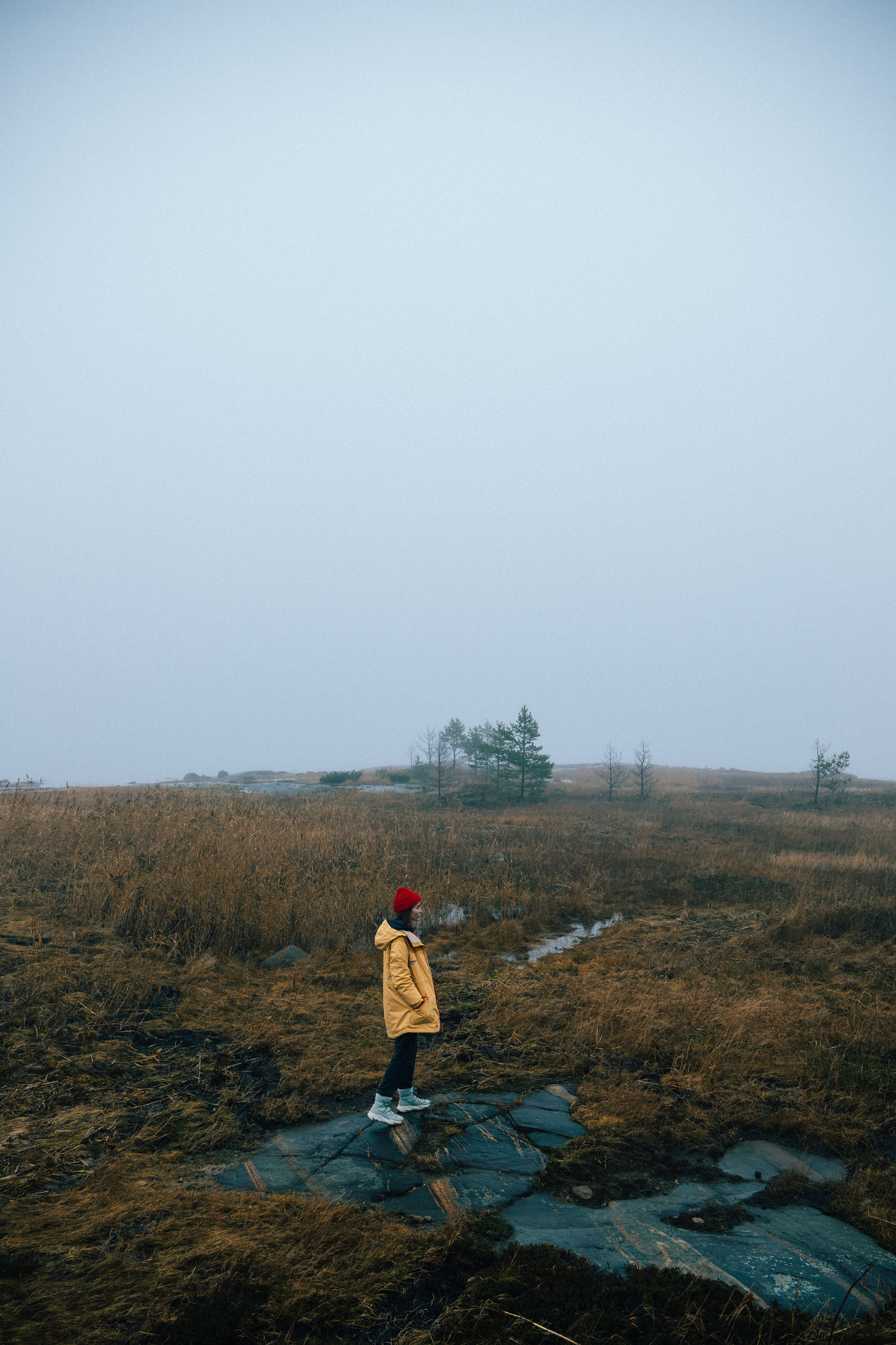 КАРЕЛИЯ / ОСЕНЬ. Создание контента | Фото | Видеосъемка | Александр Ярков