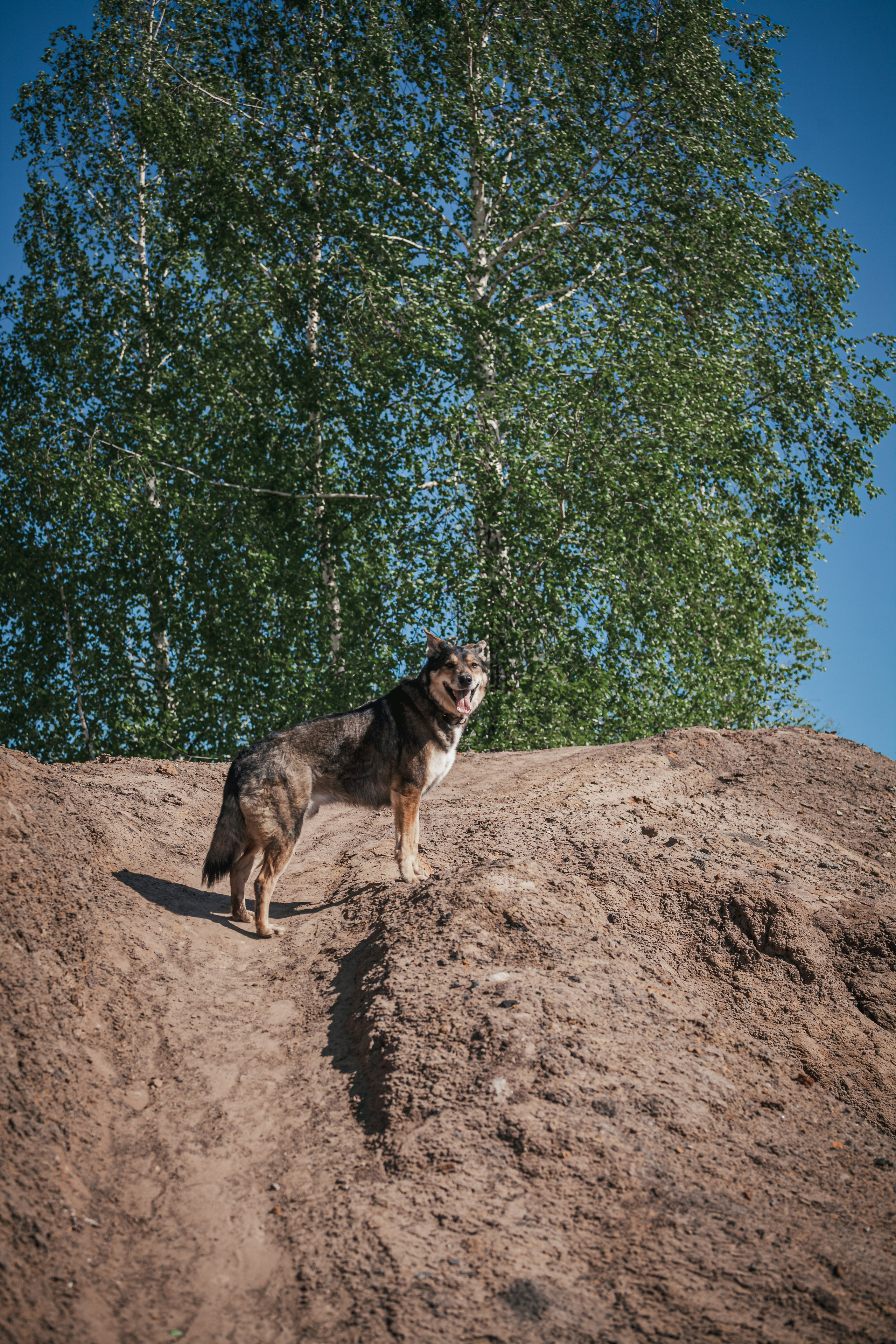 Кондуки. Фотограф-анималист Татьяна Степанова