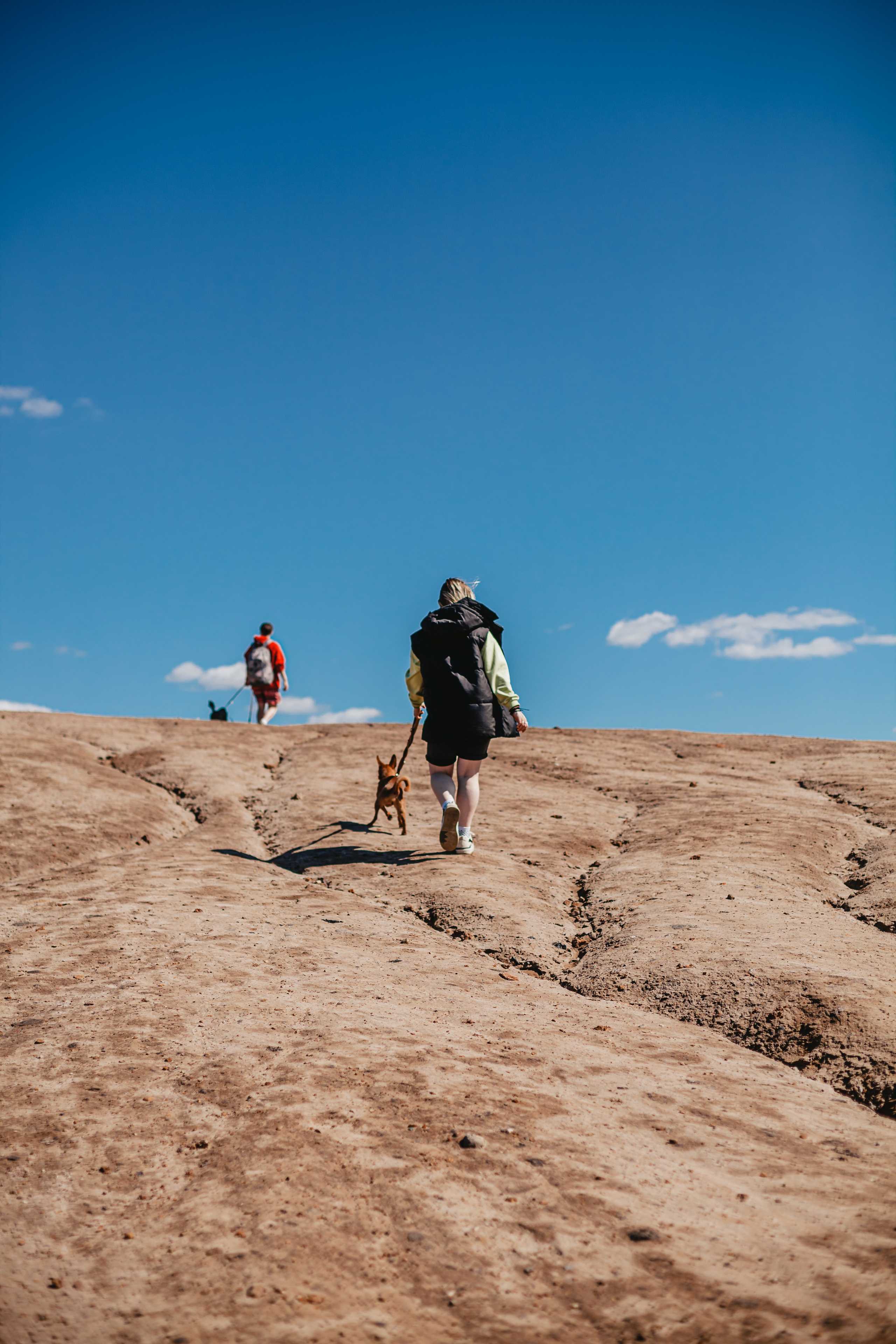 Кондуки. Фотограф-анималист Татьяна Степанова