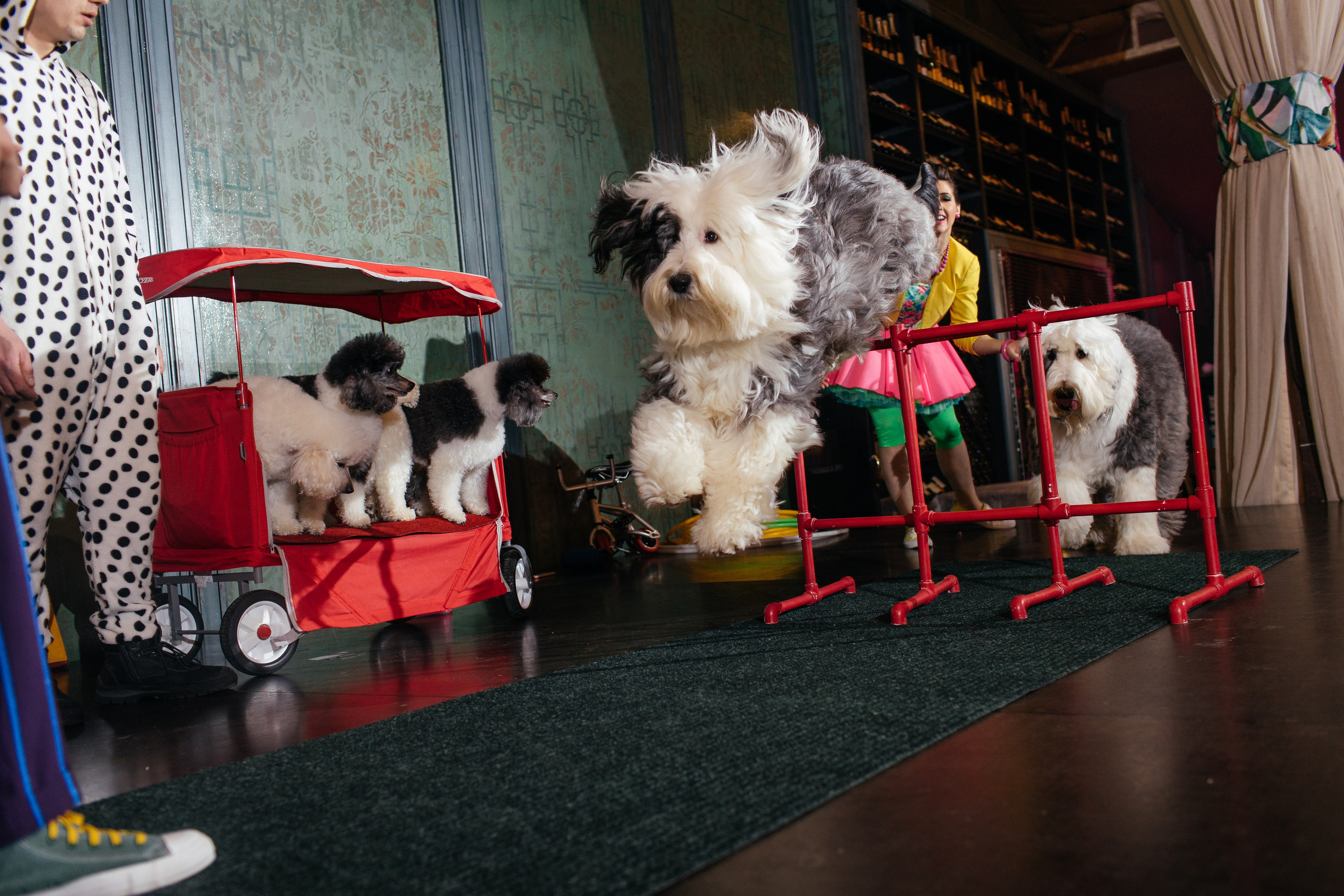 Алине 7 лет. Свадебный и семейный фотограф