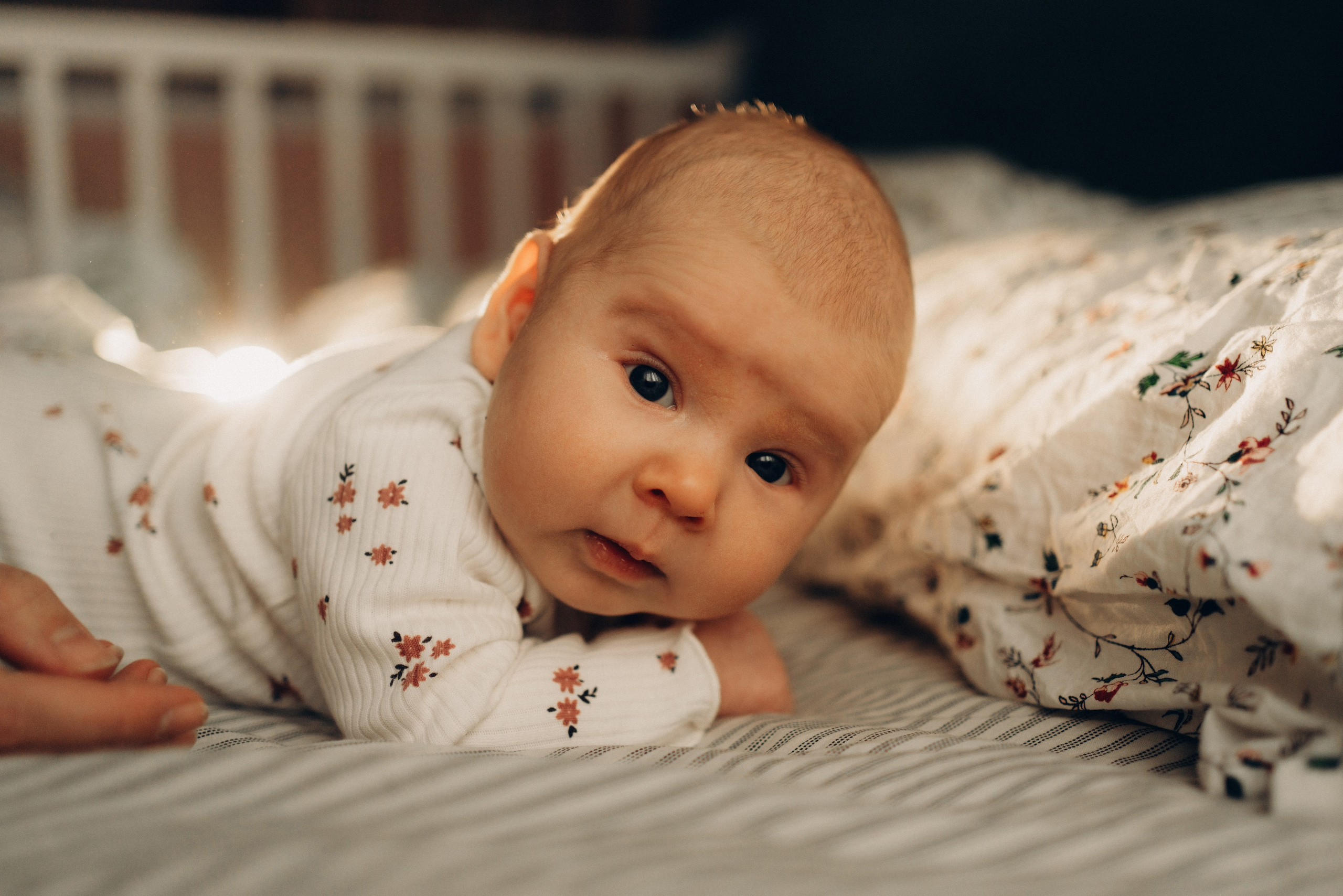 Настя, Антон, Яроша, Агата и Цезарь. Фотограф в Минске — Мария Миллс