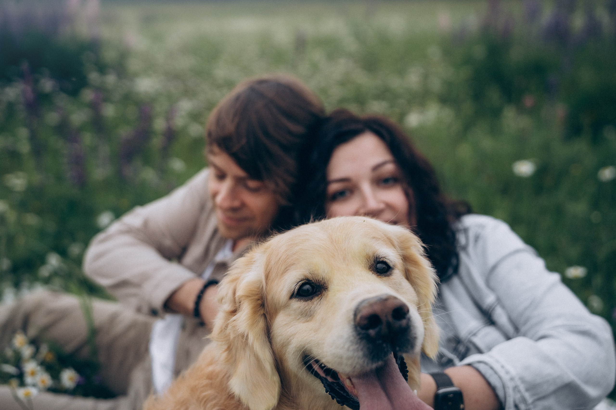 Кристина, Александр, Каролина, Владлен и Космос. Фотограф анималист в Москве и Санкт-Петербурге Свиридова Анна