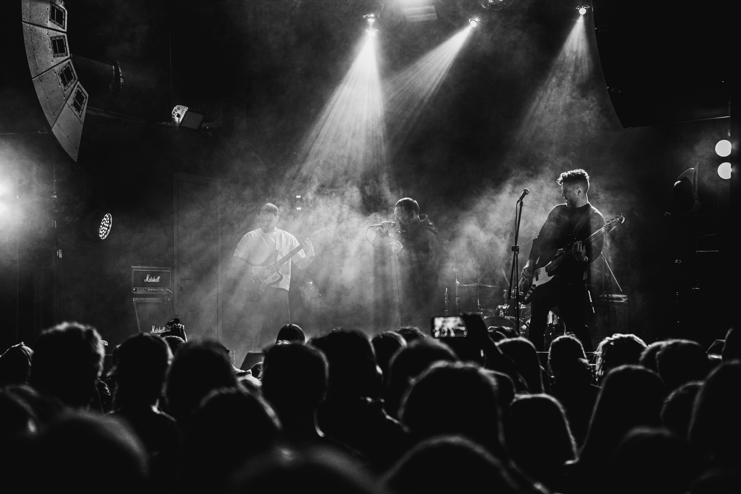 НДвТБ, Bird Bone 20.03.2026. Репортажный фотограф в Москве Legiodot