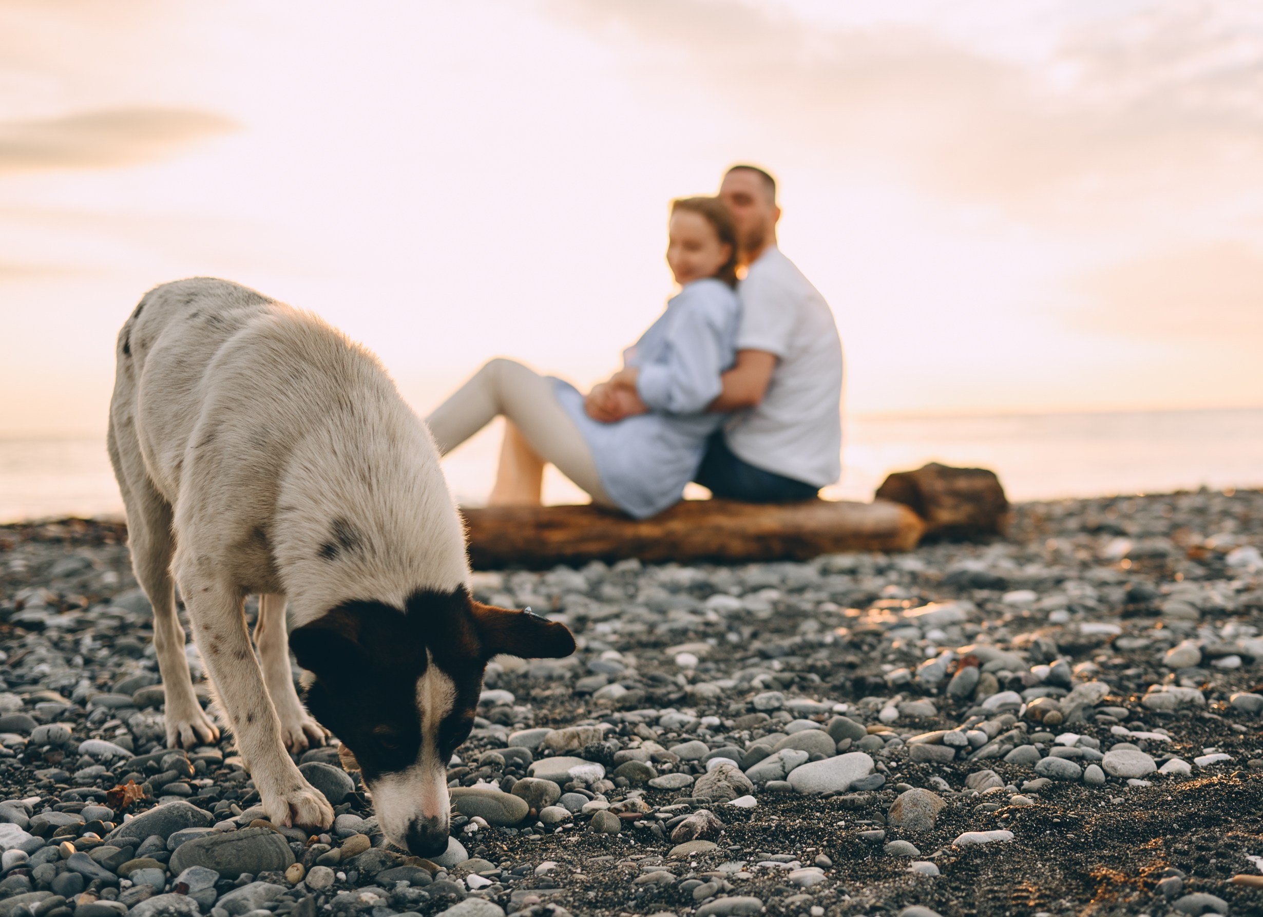 Костер, закат, море и романтика. Свадебный и семейный фотограф София Невская