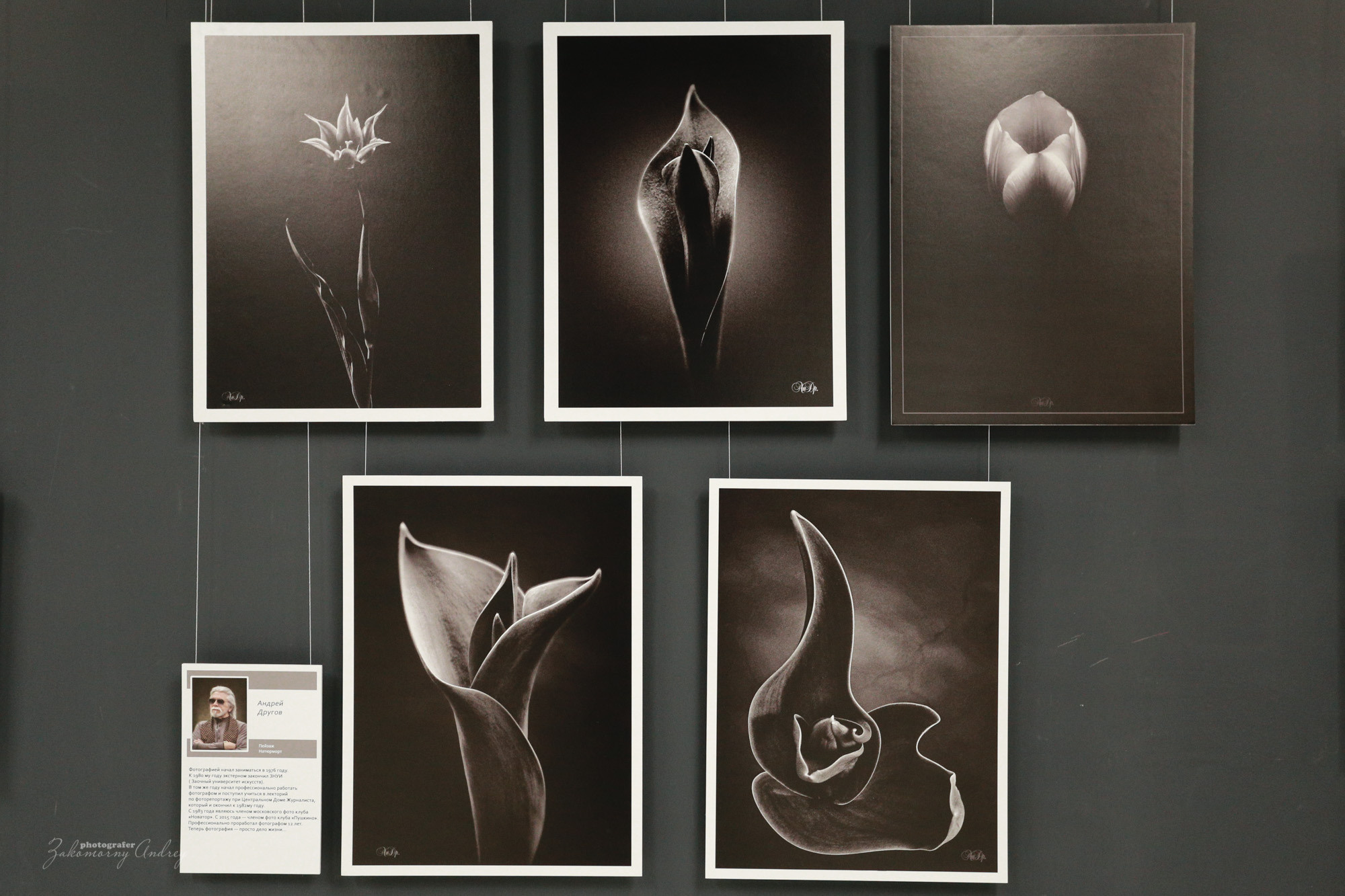 Фотовыставка фотоклуба