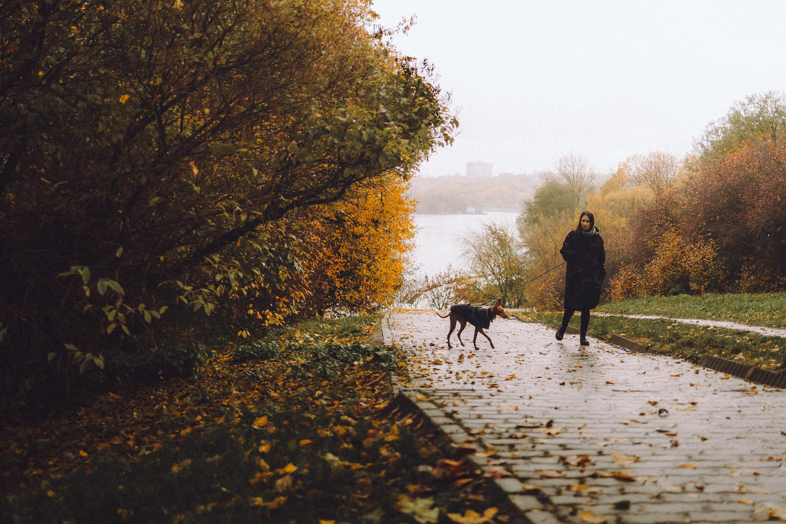 Даша и Биби