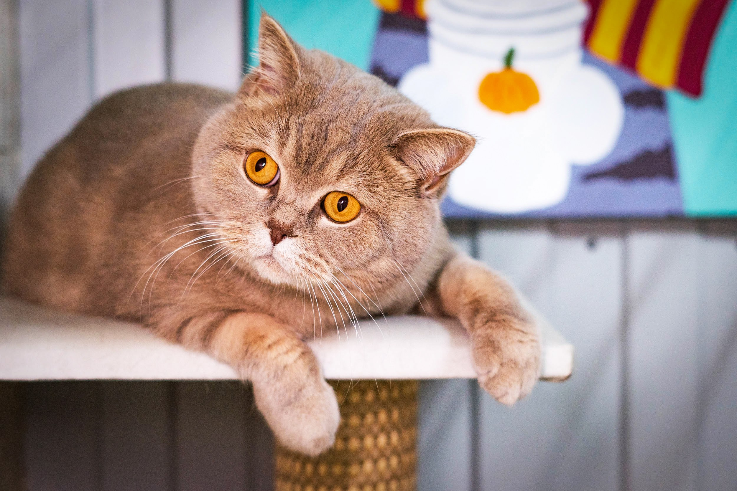 Гостиница. Фотограф Екатерина Зорина